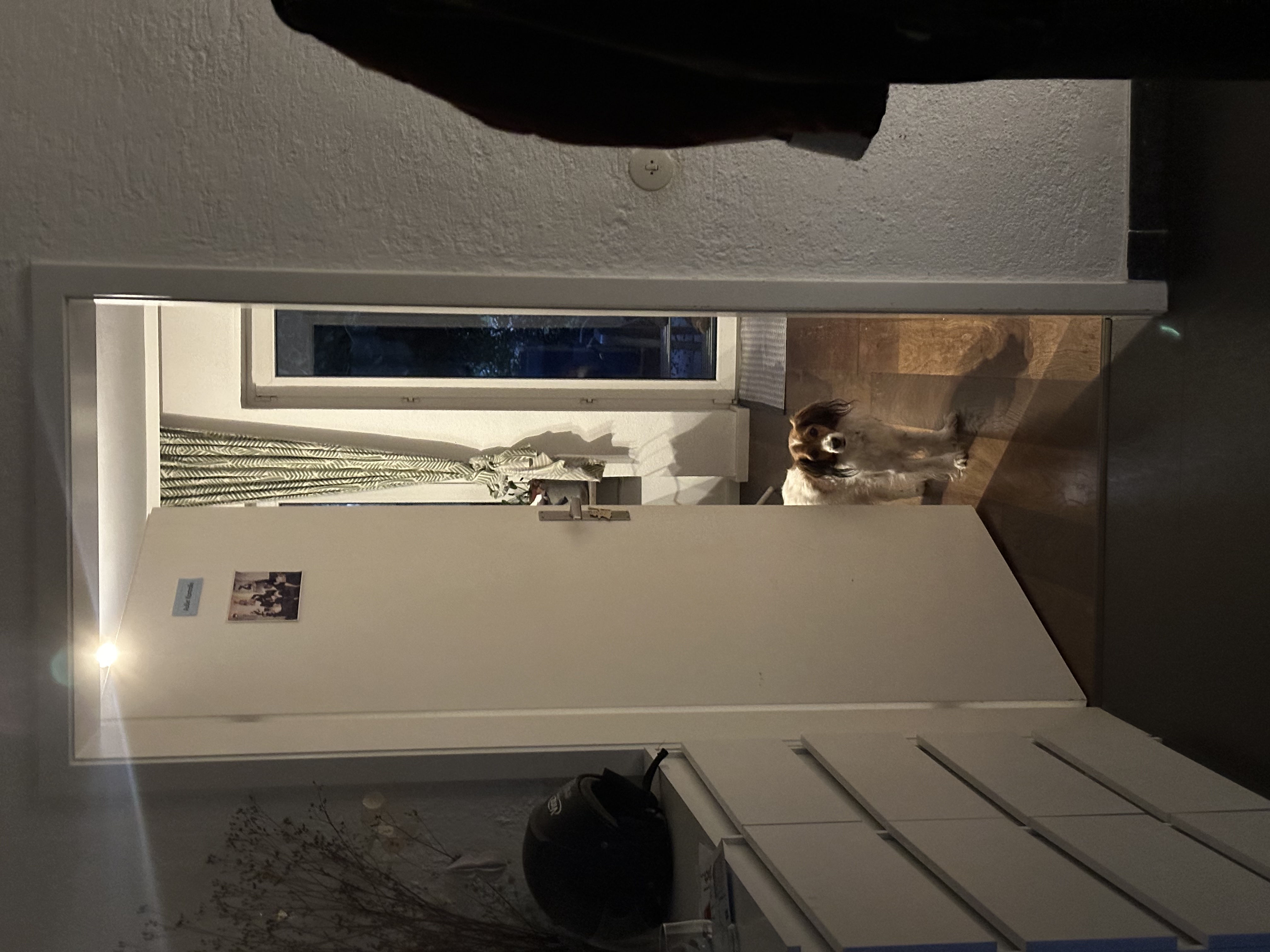 image-16