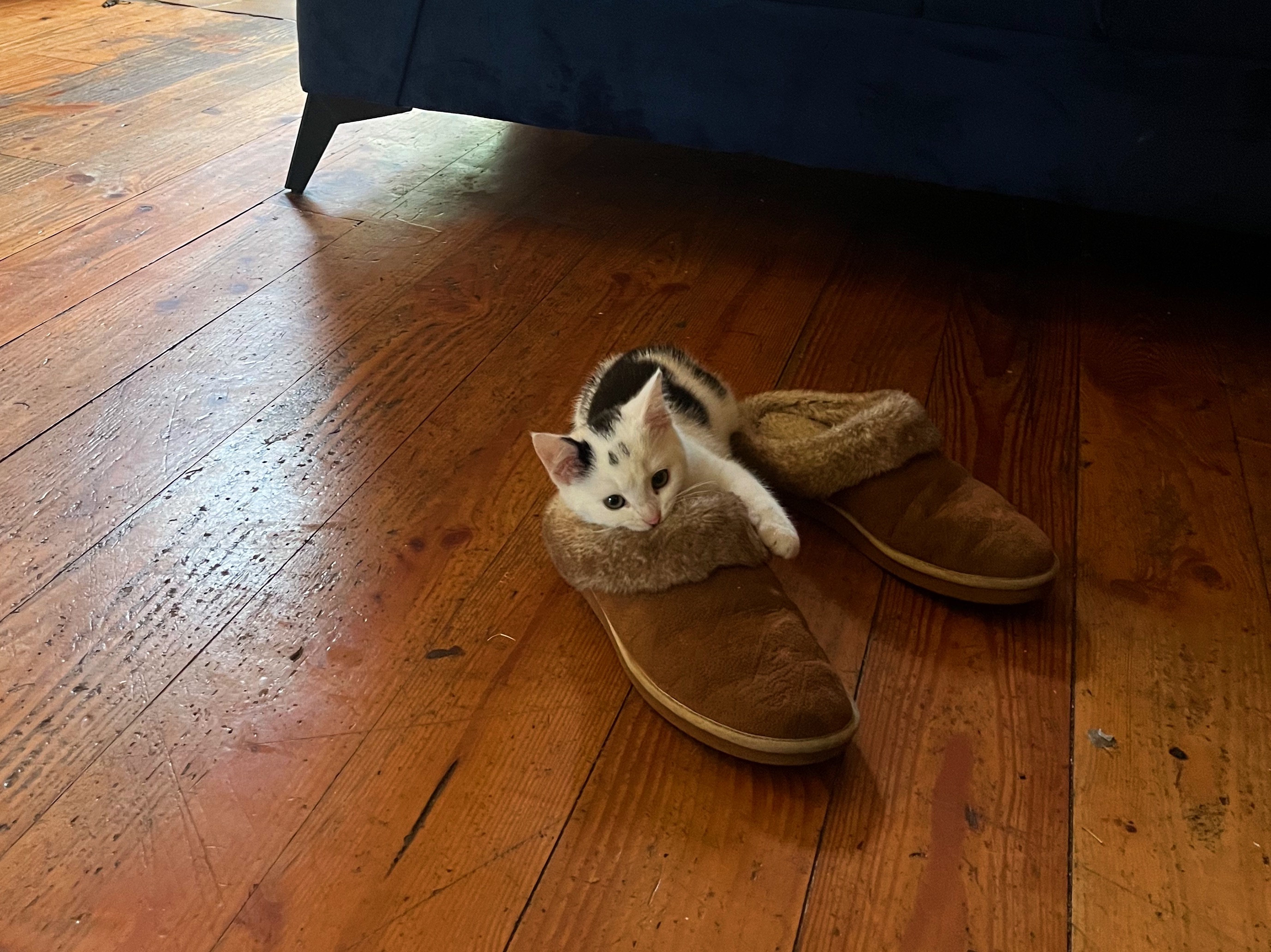 image-5