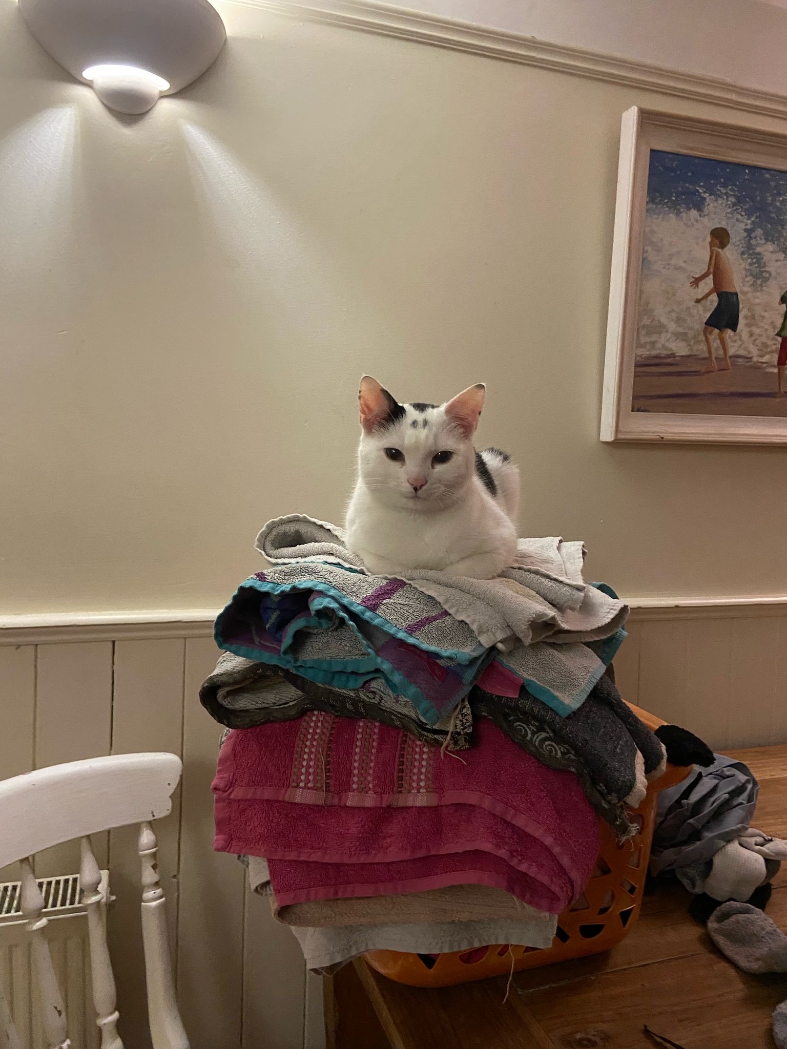 image-9
