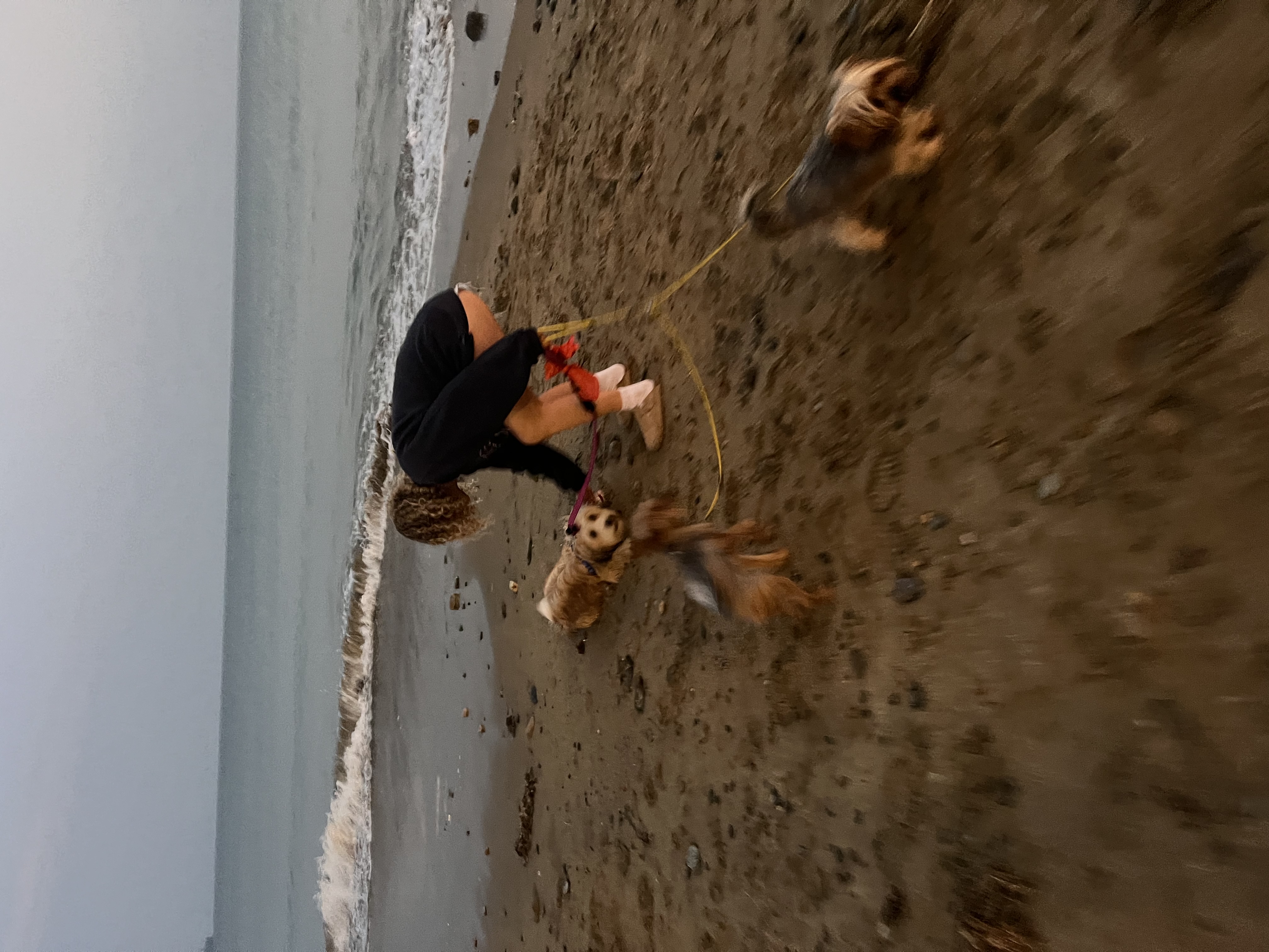 image-15