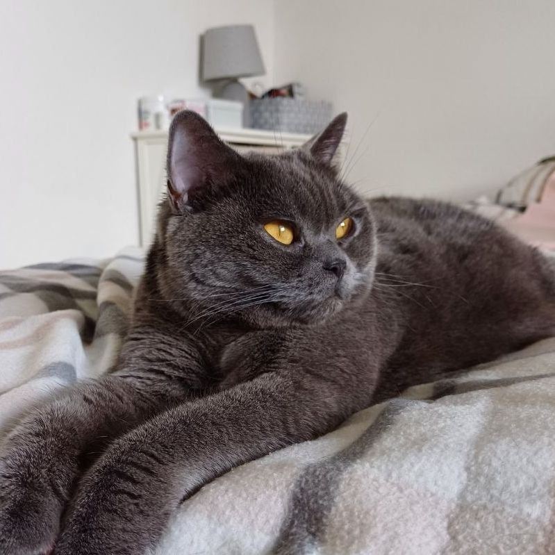 Luna