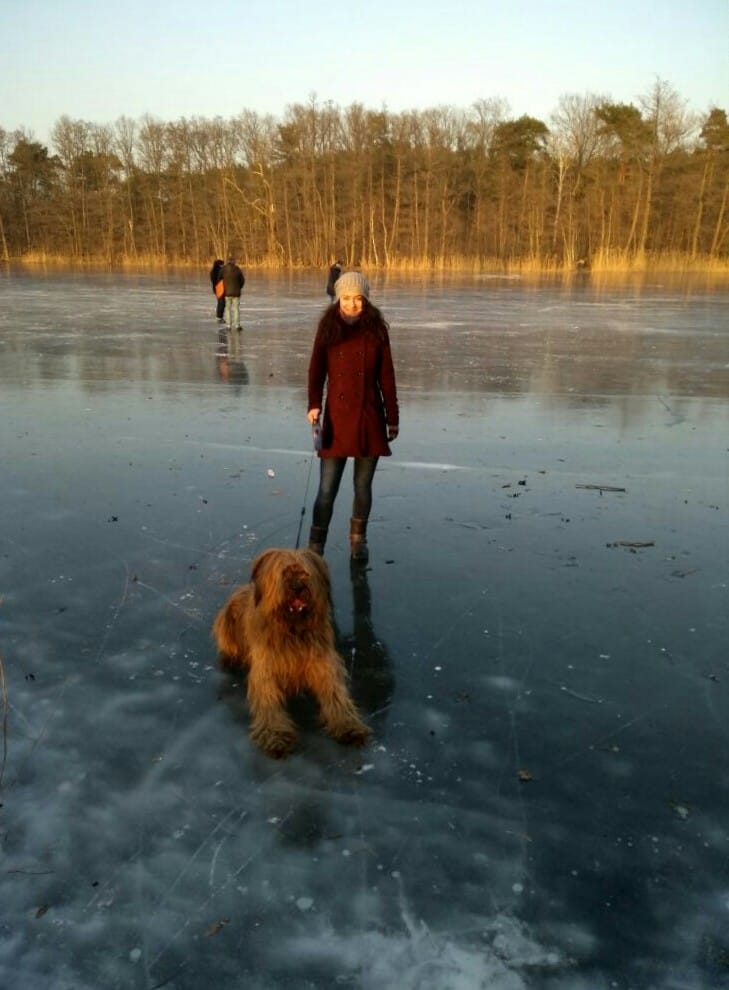 image-3