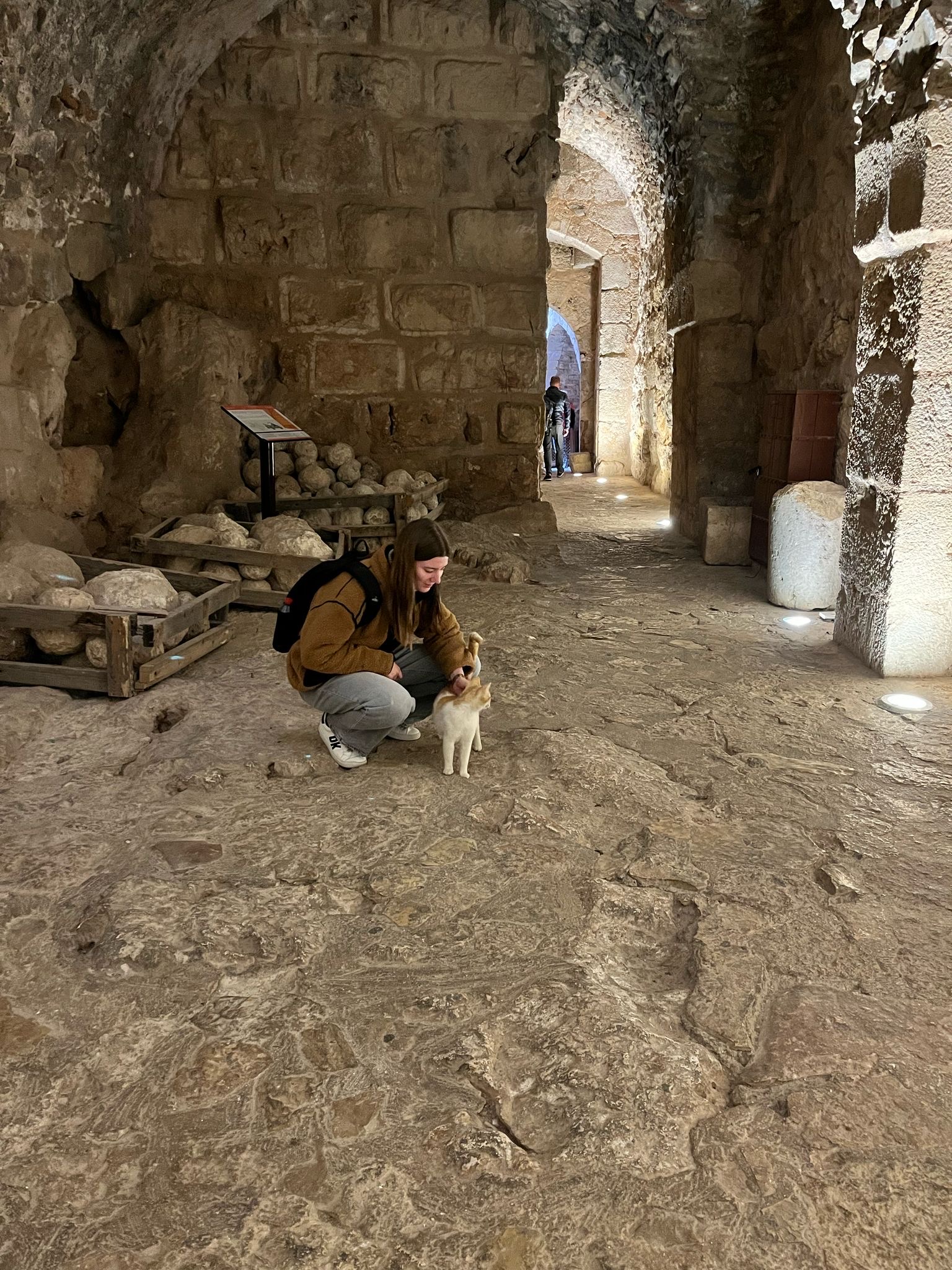 image-6