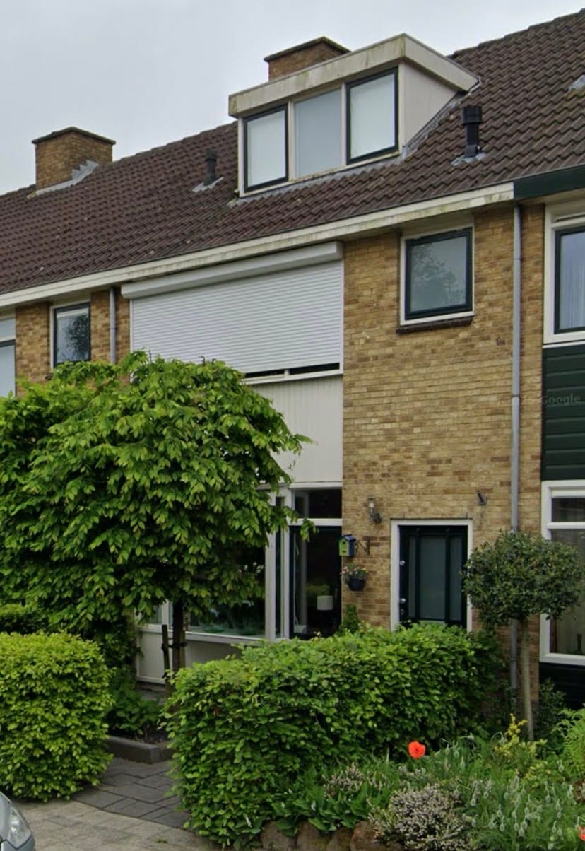 image-7