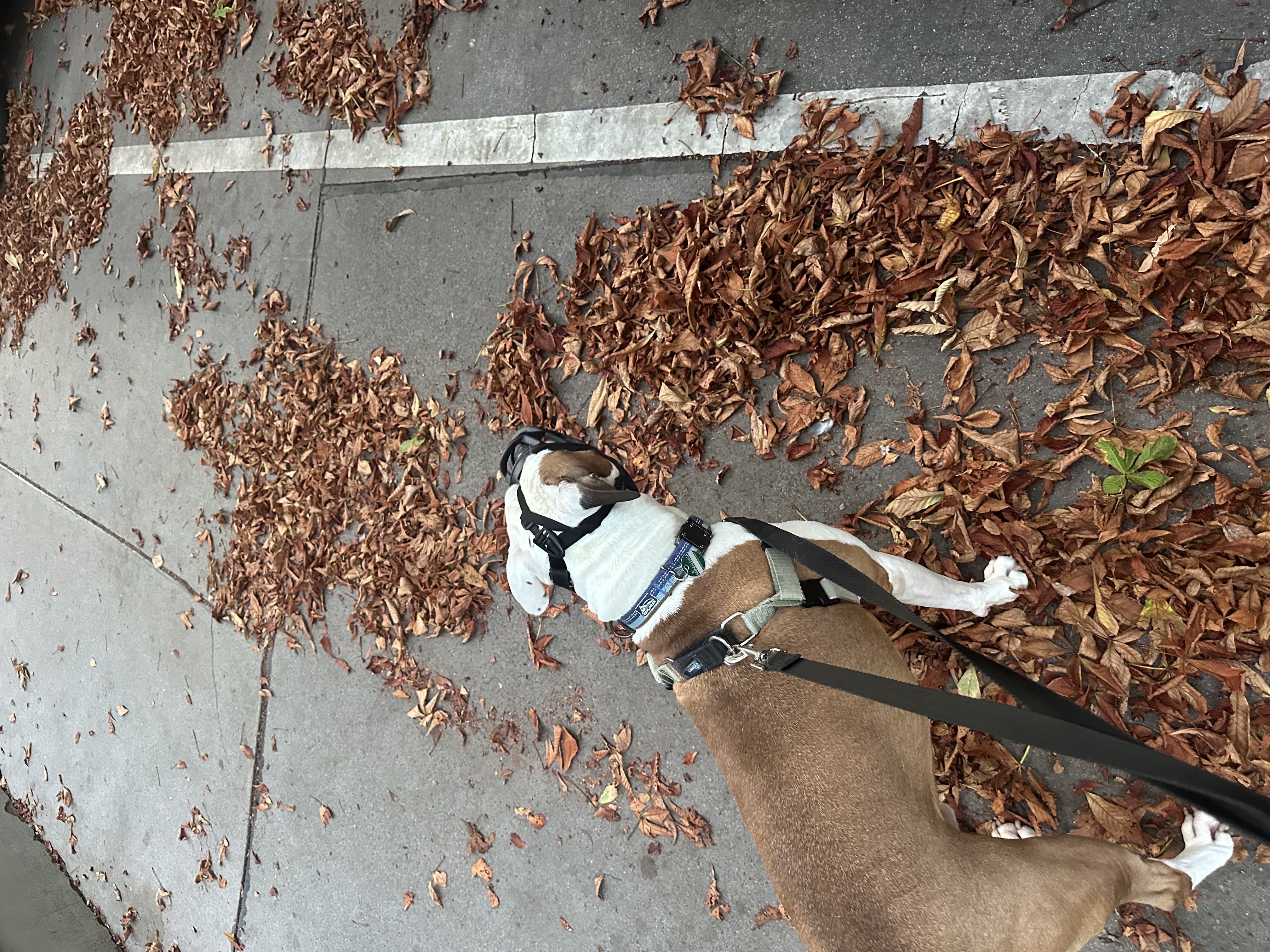 image-18