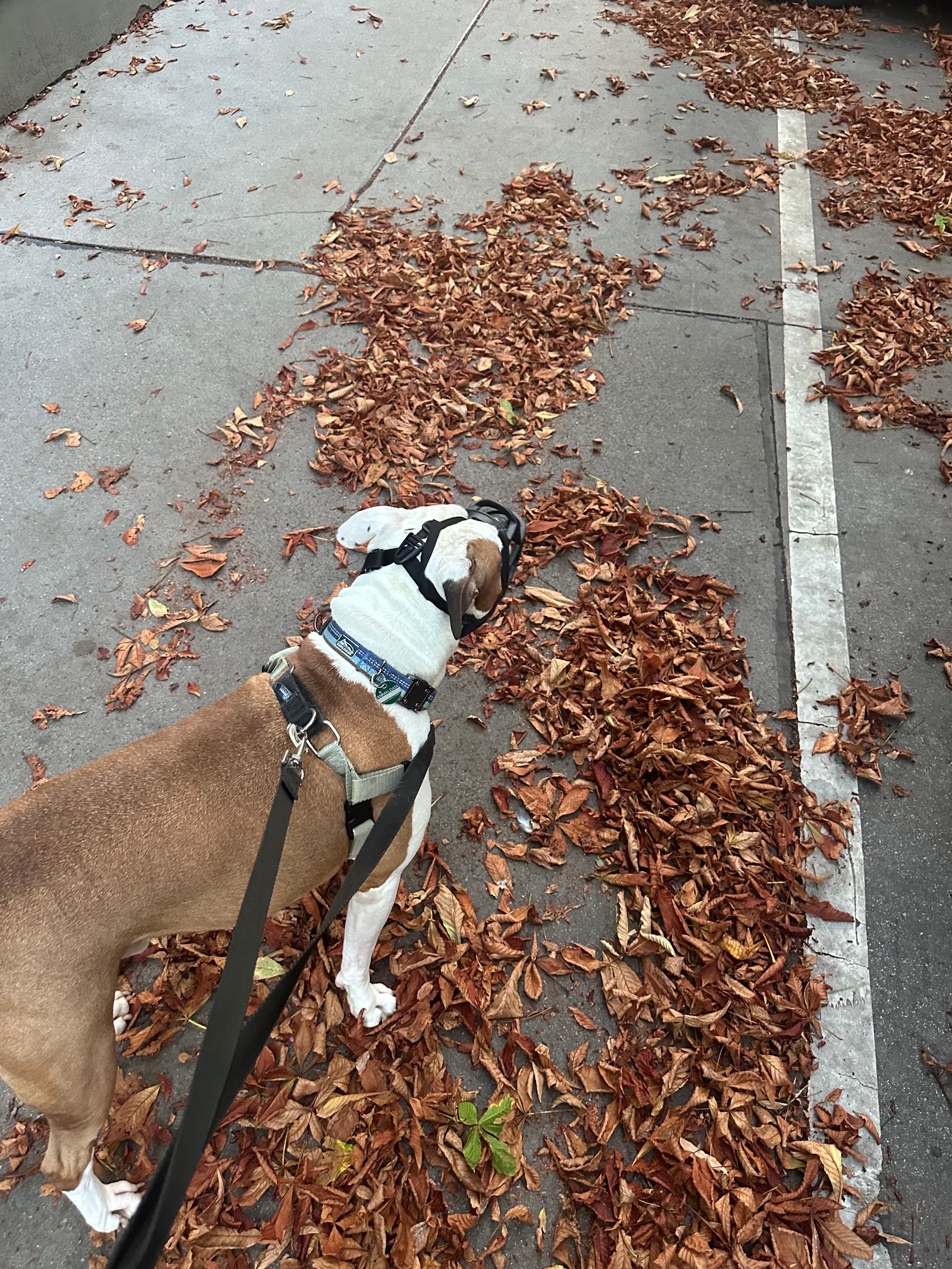 image-18