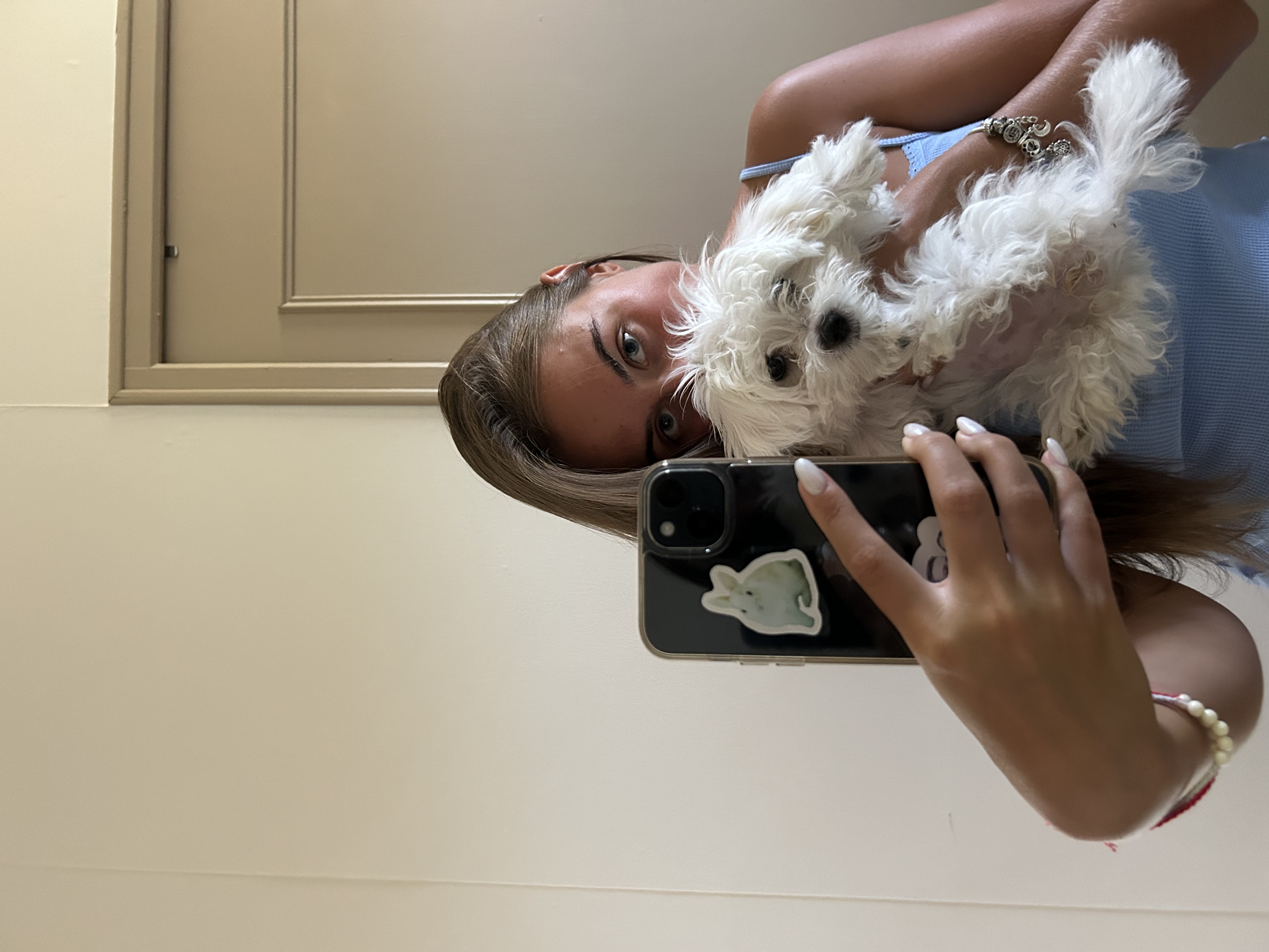 image-7