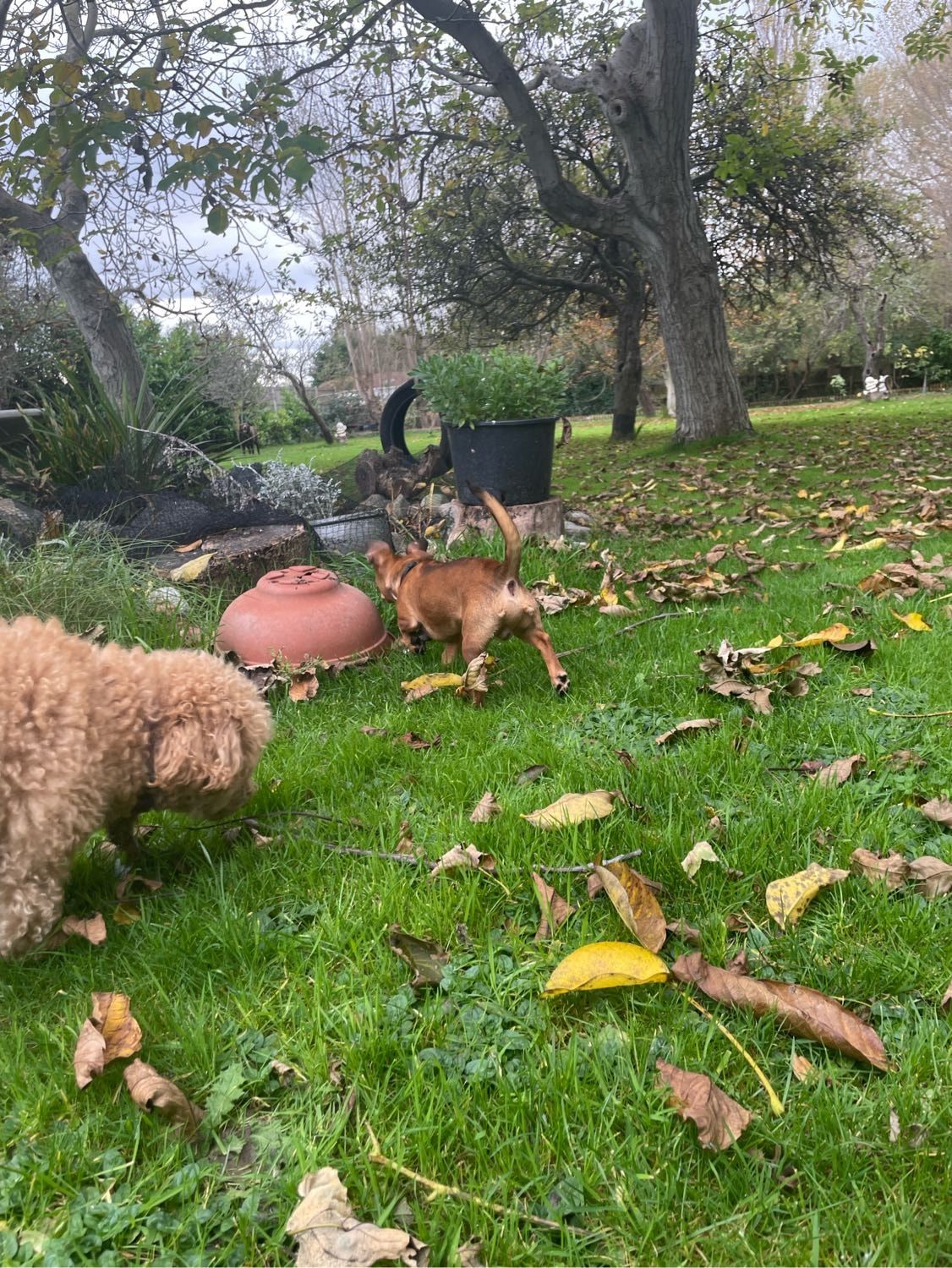 image-9