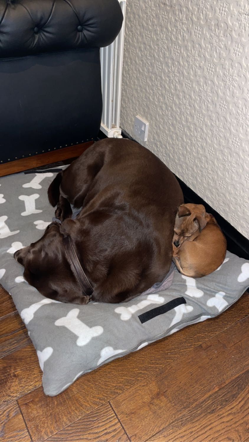image-13