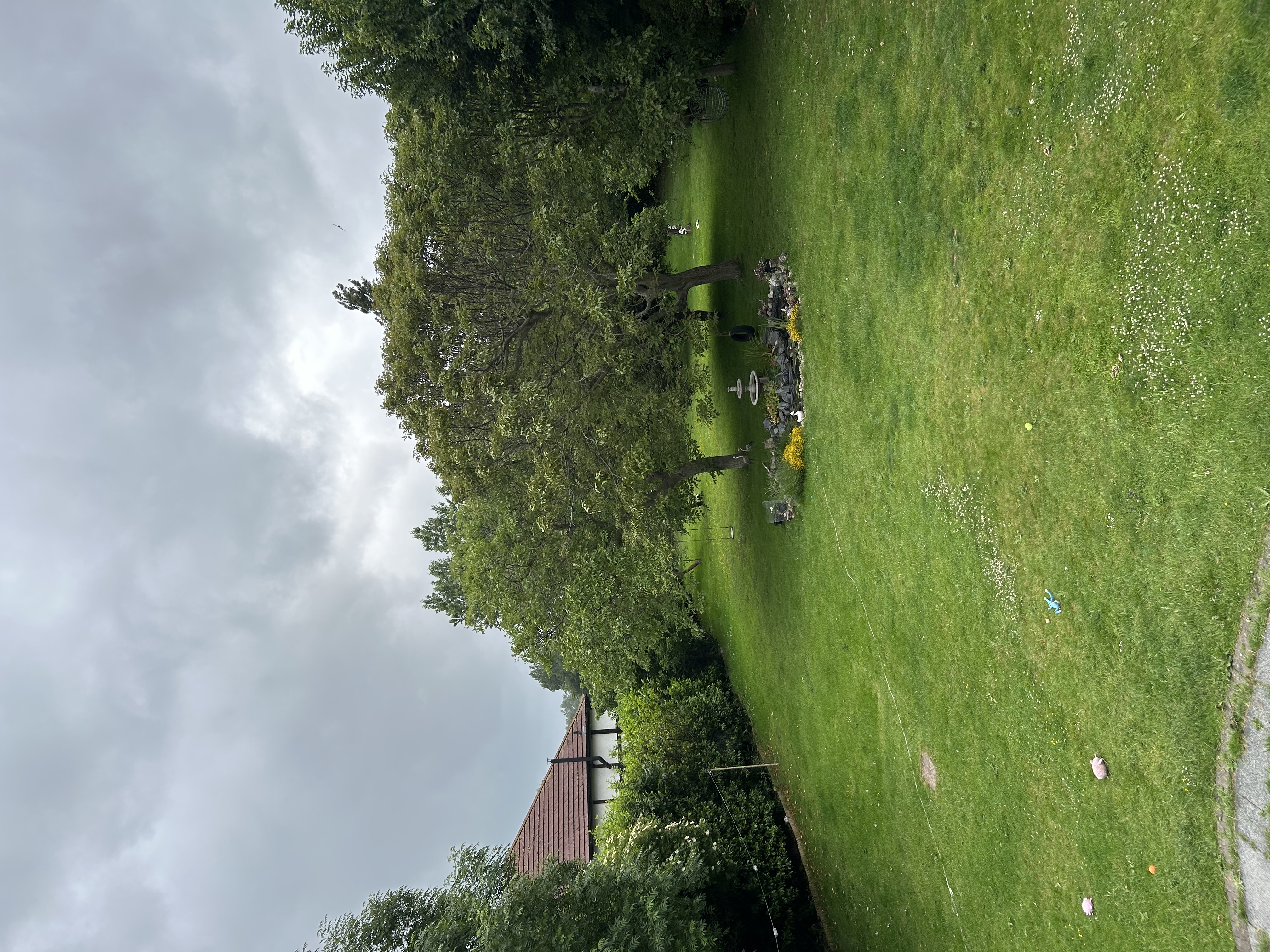 image-19