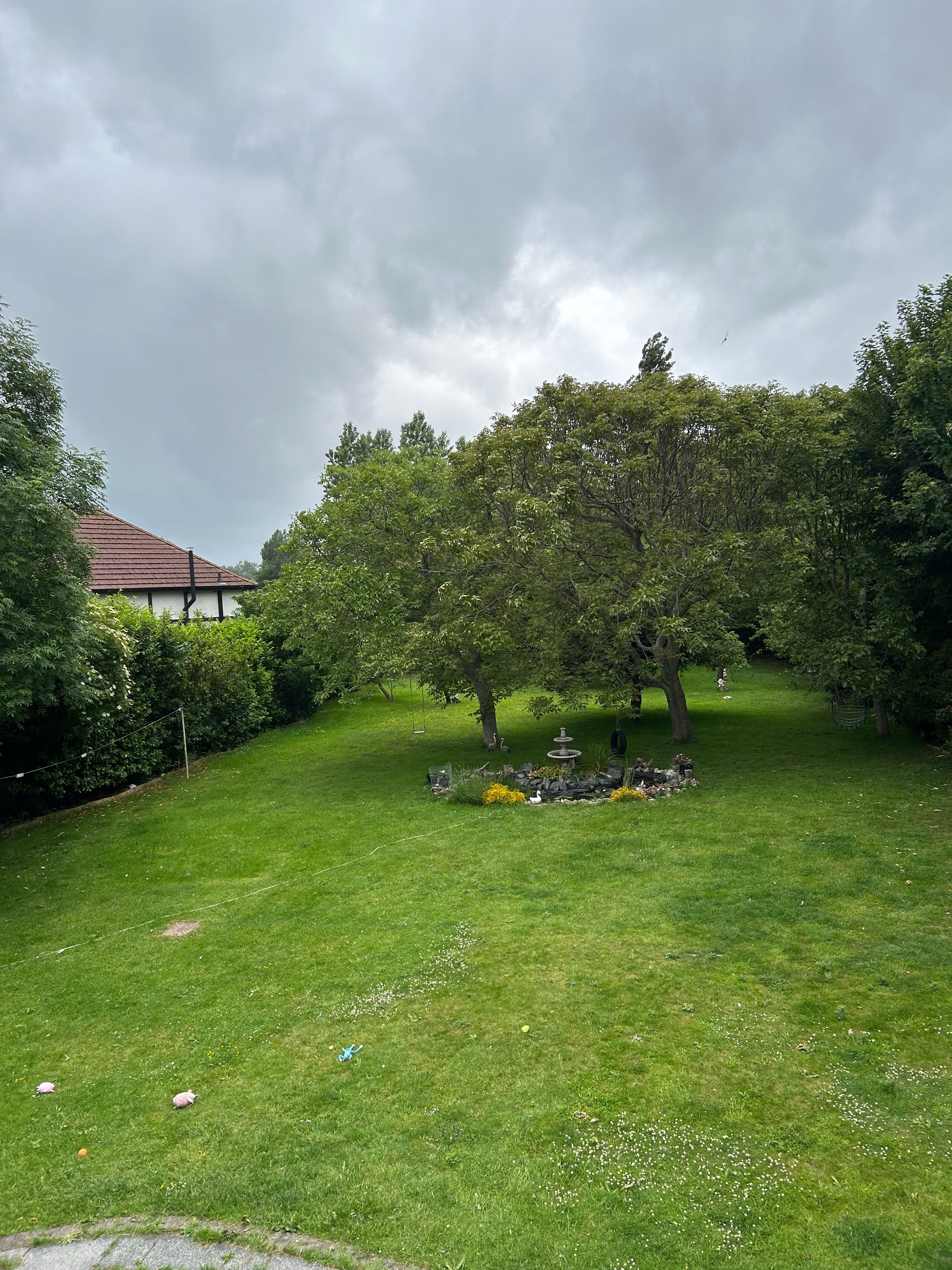 image-19