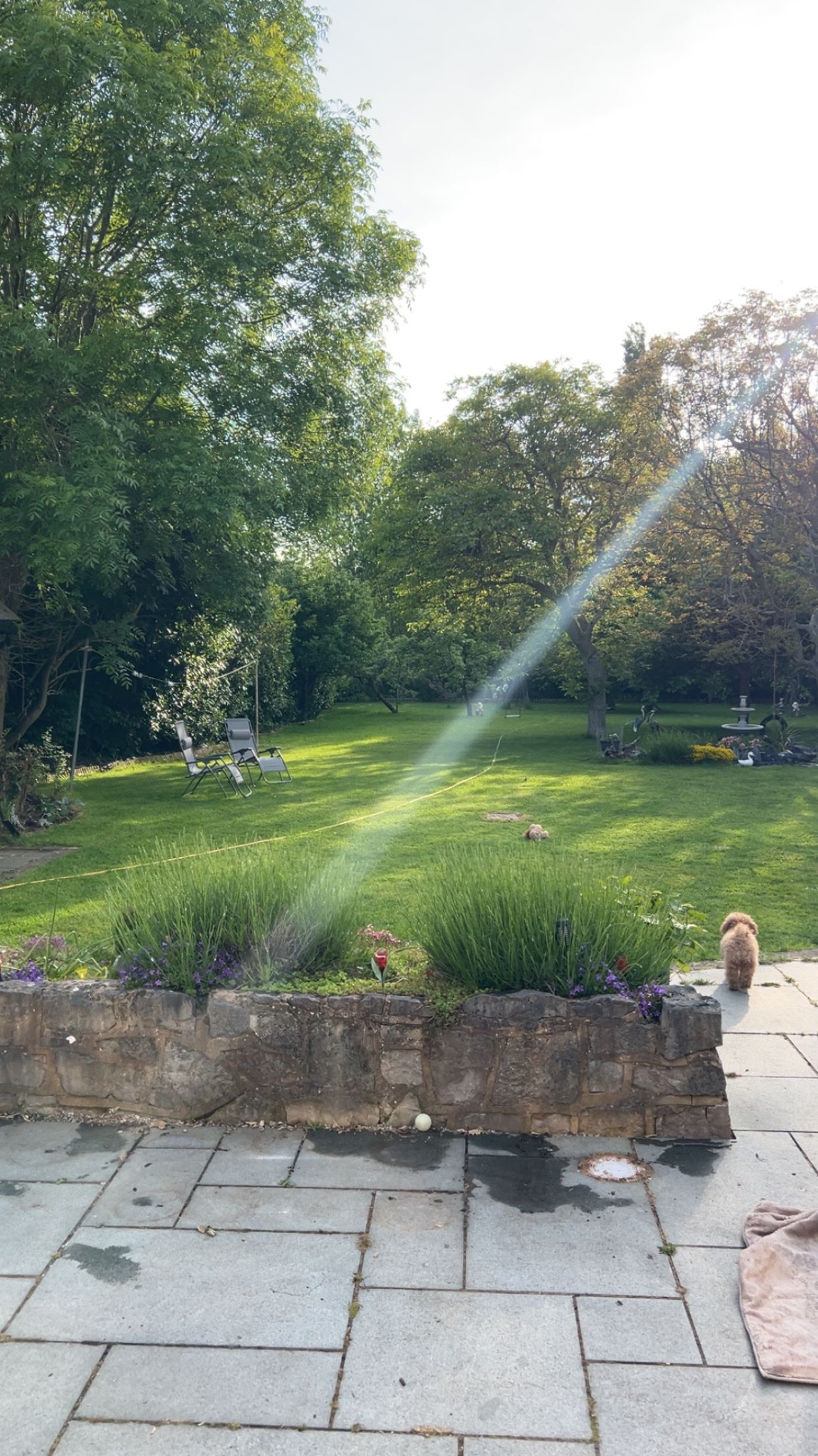 image-21