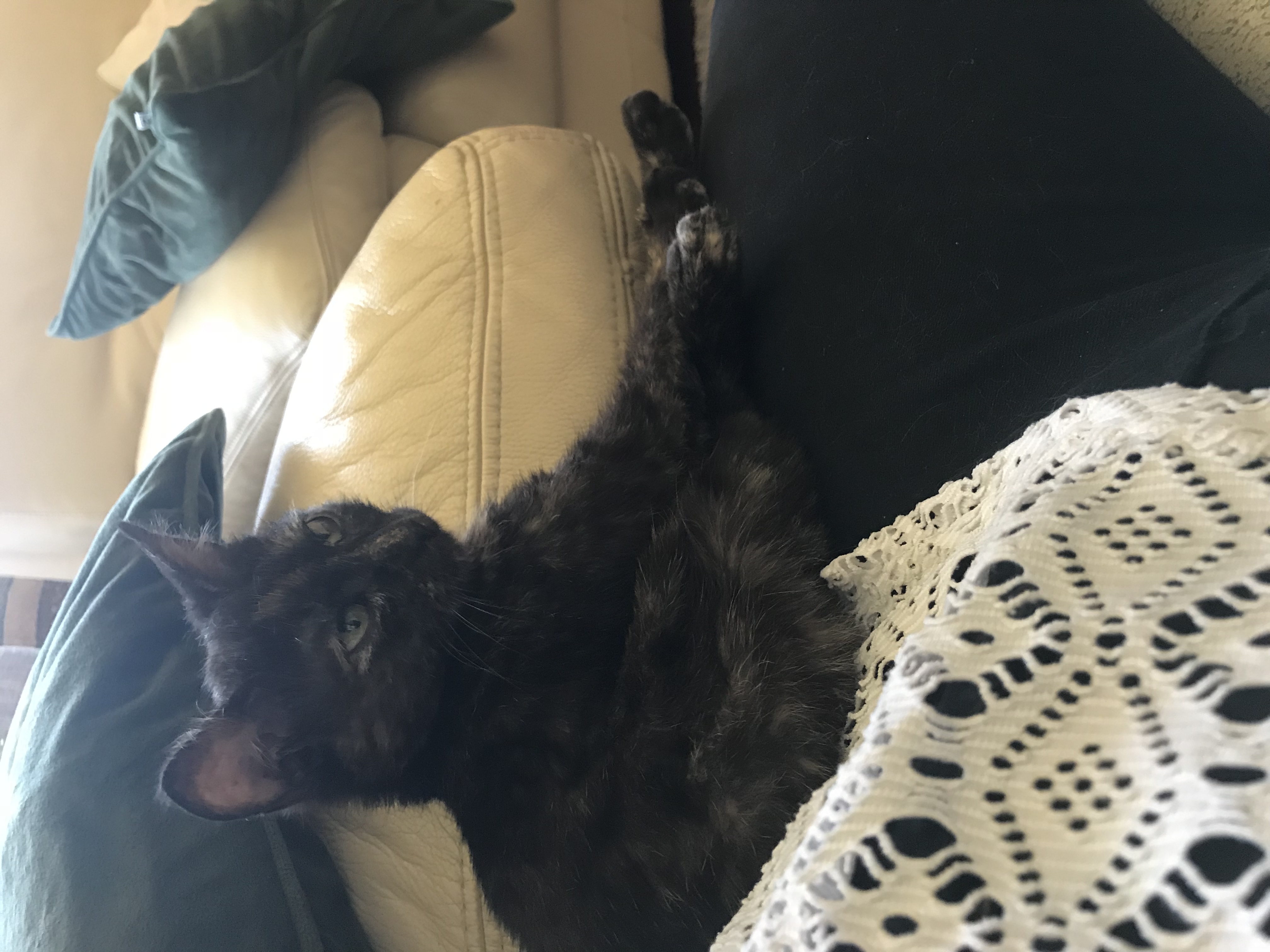 image-12