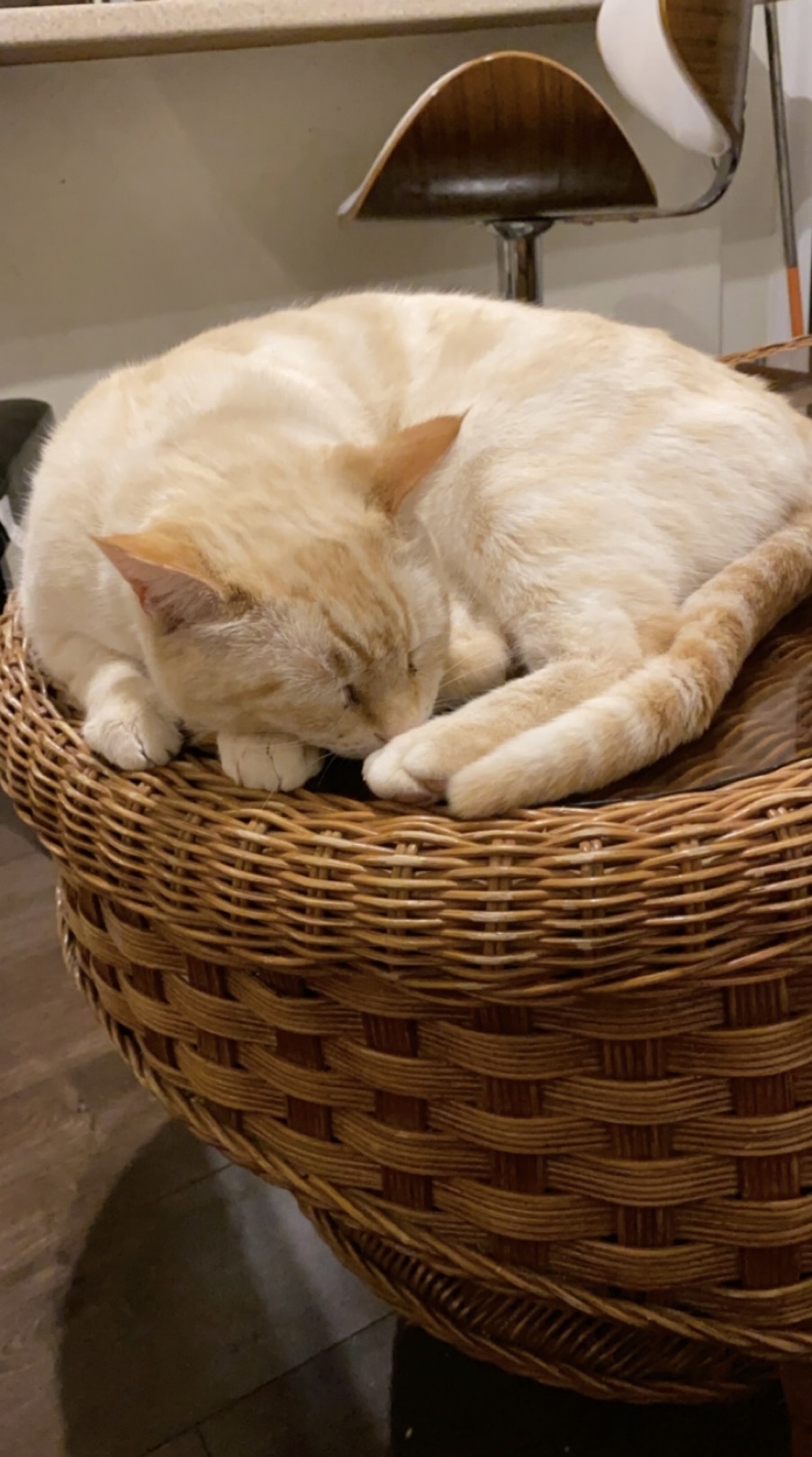 image-13