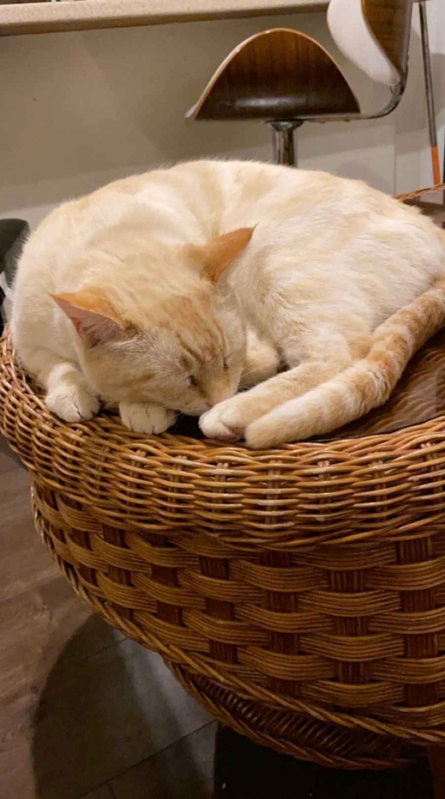 image-13