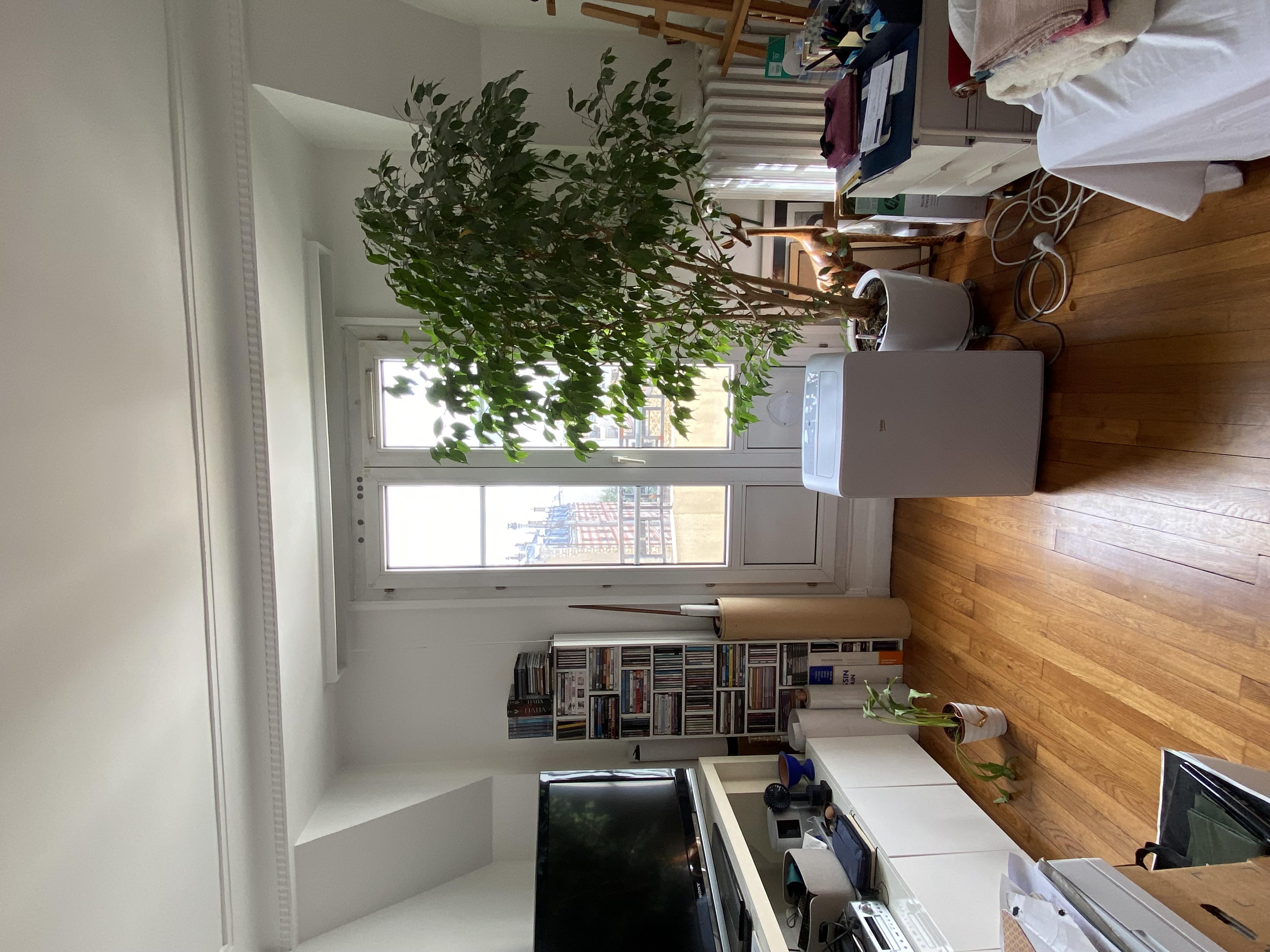 image-14