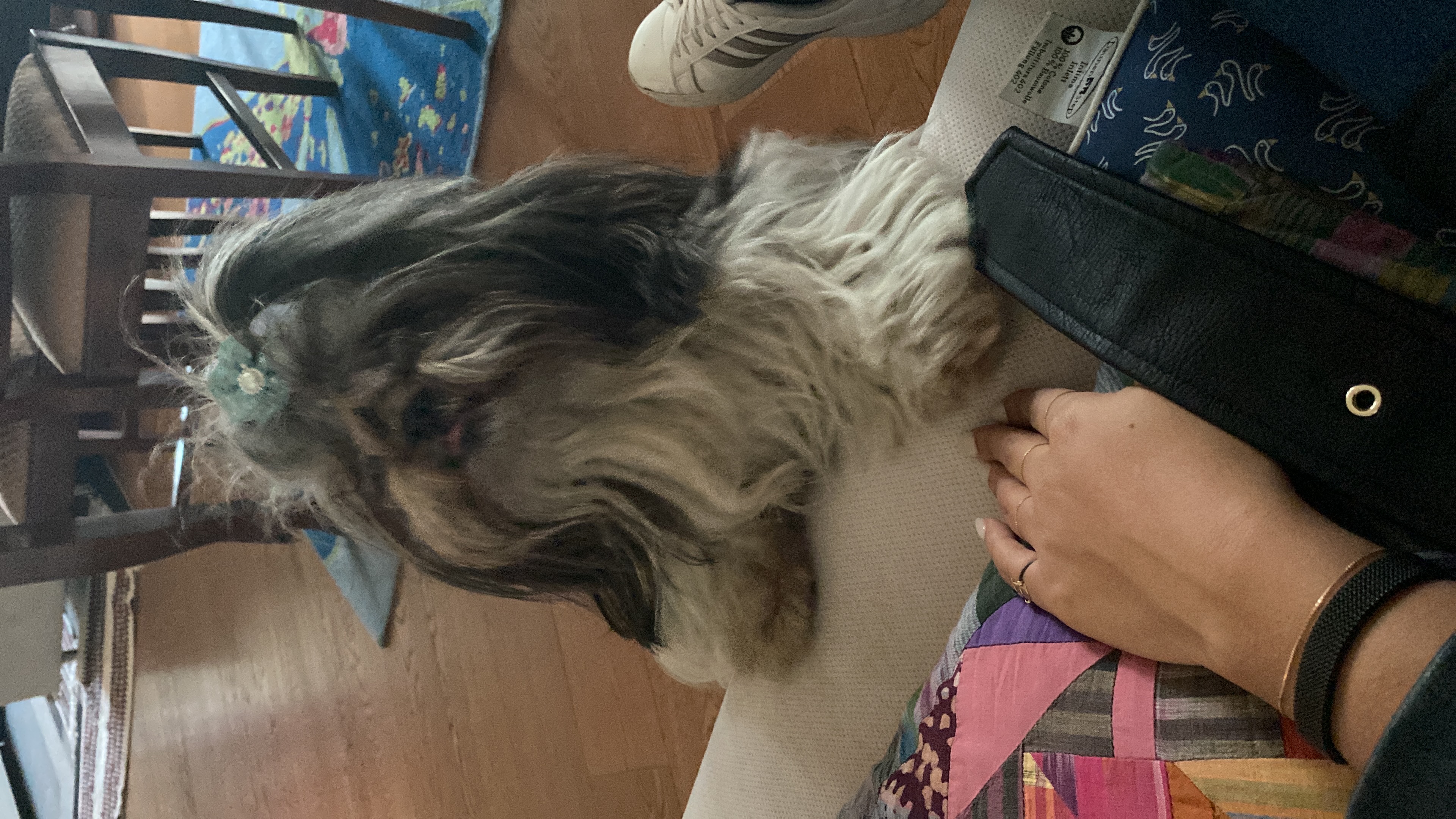 image-9