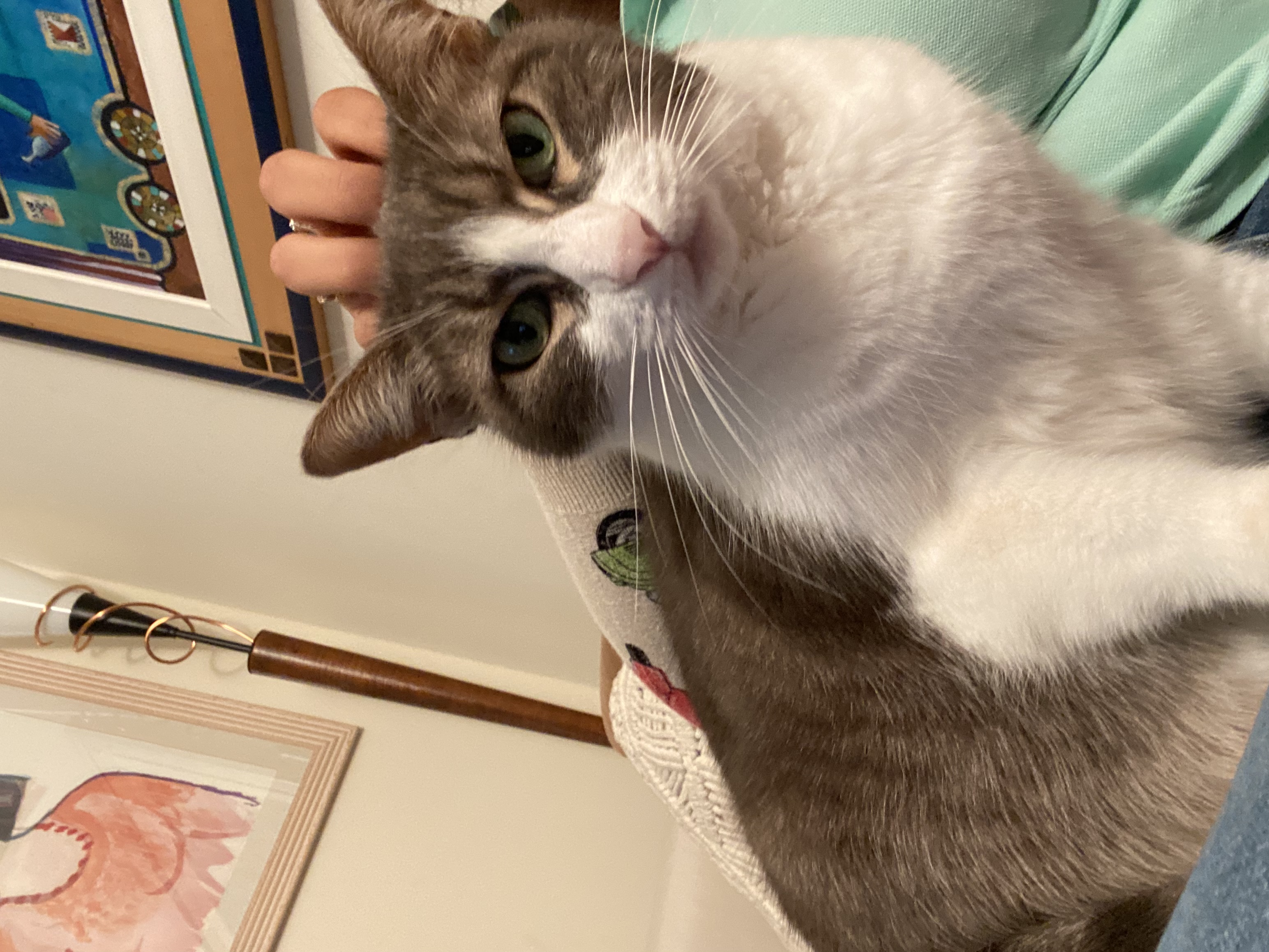image-6