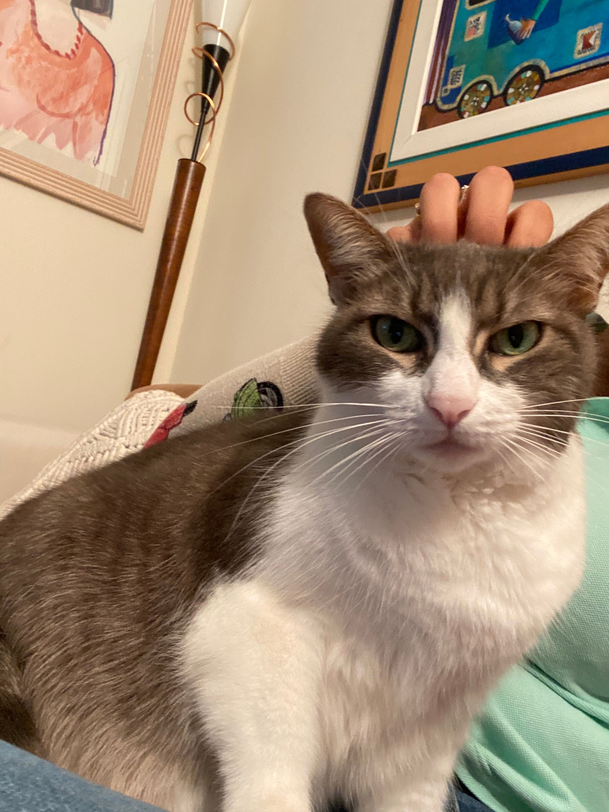 image-6