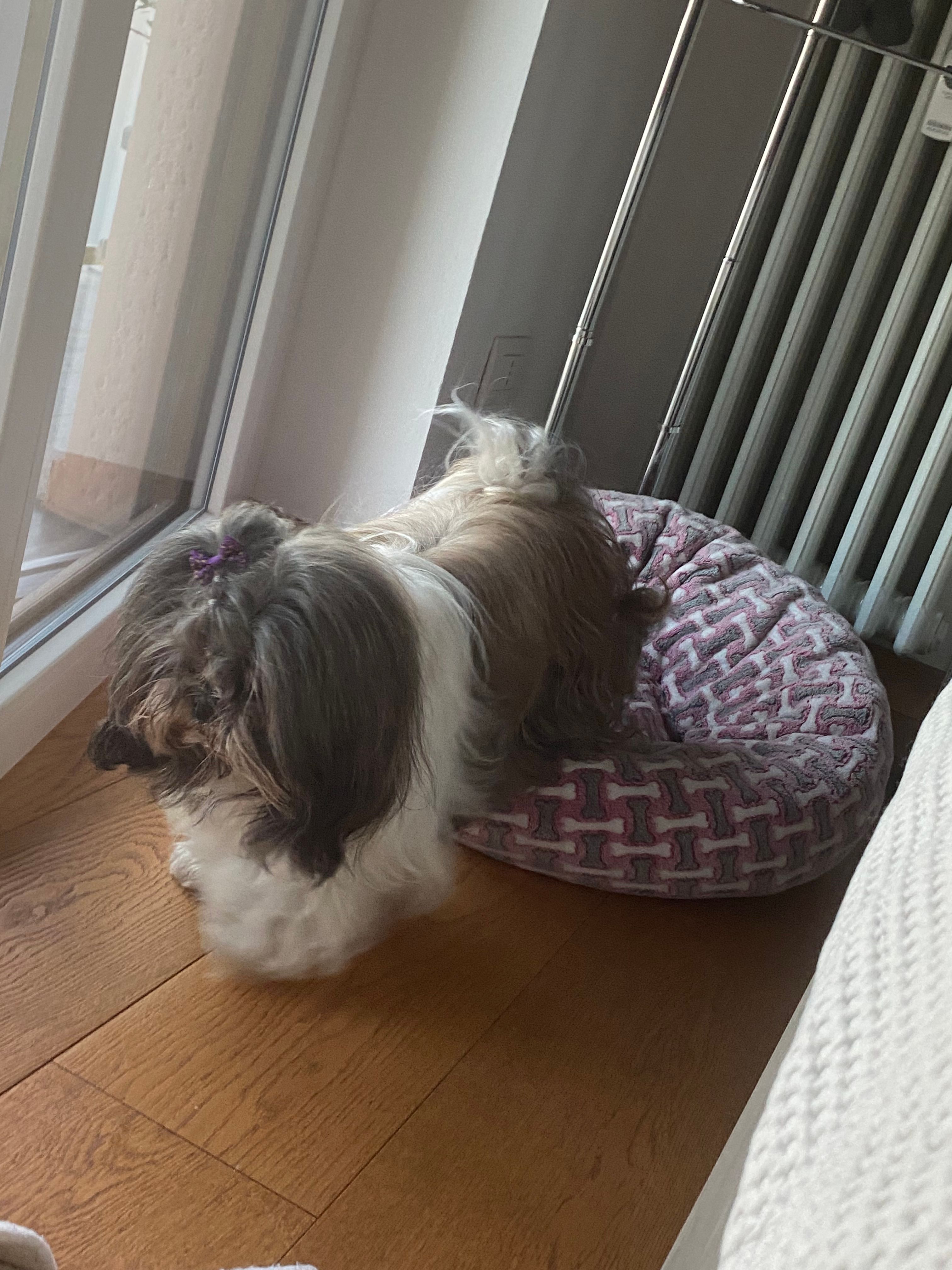 image-10