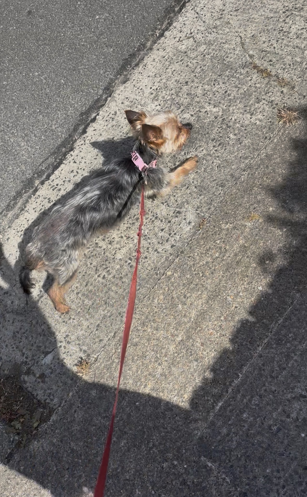 image-12
