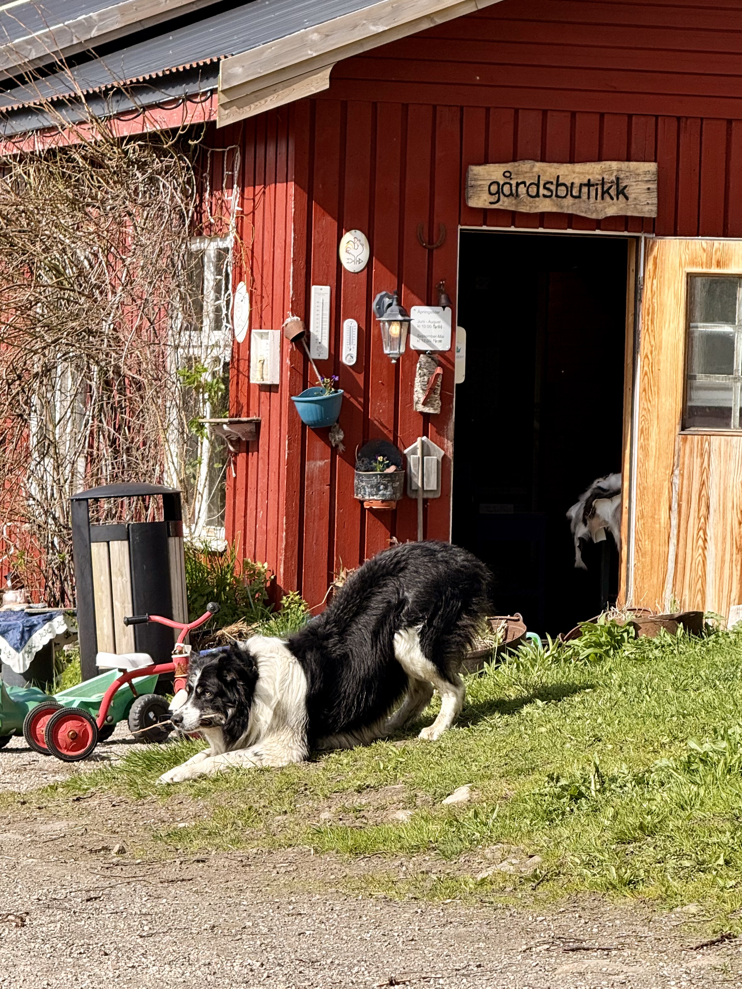 image-6