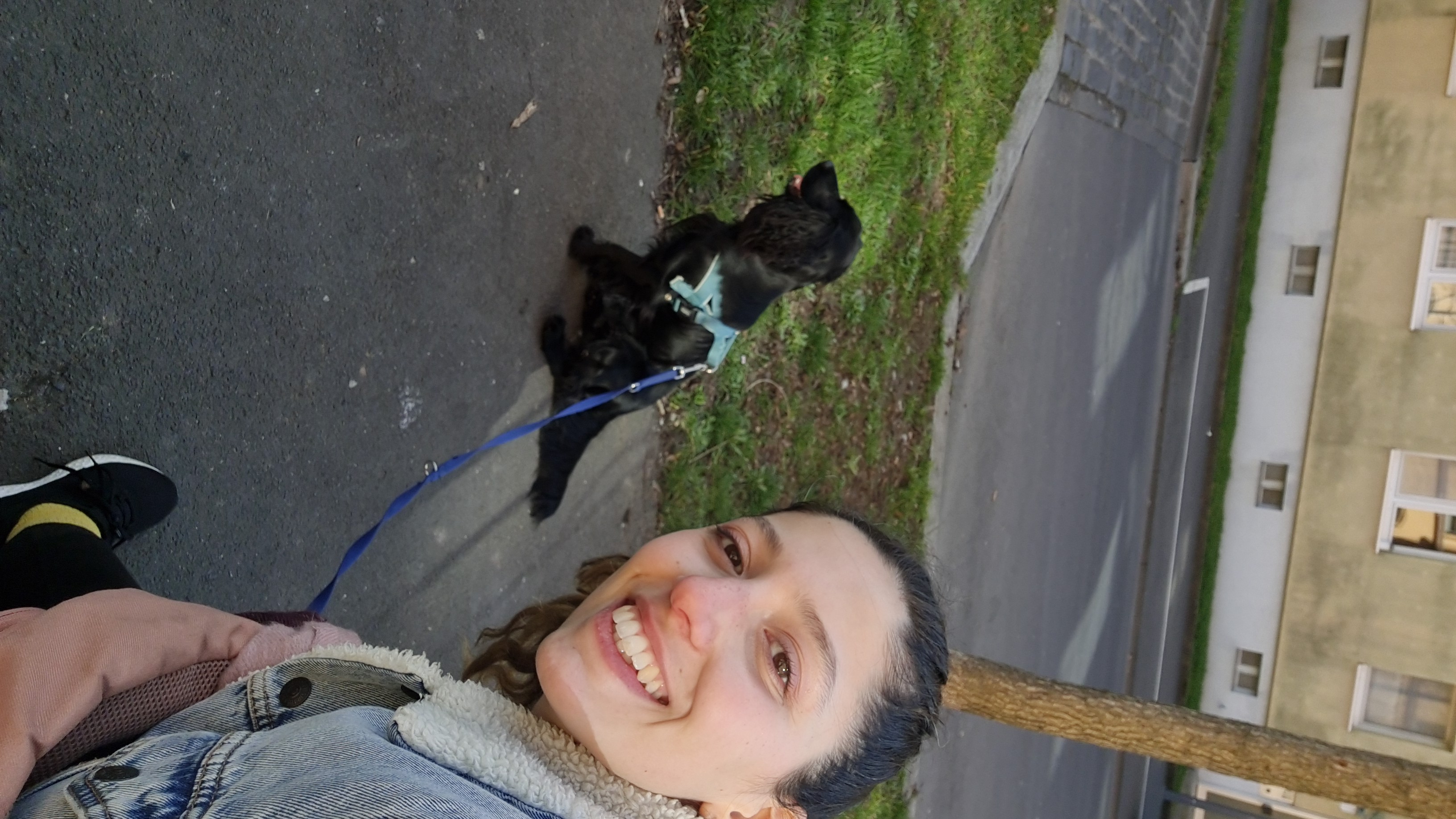image-7