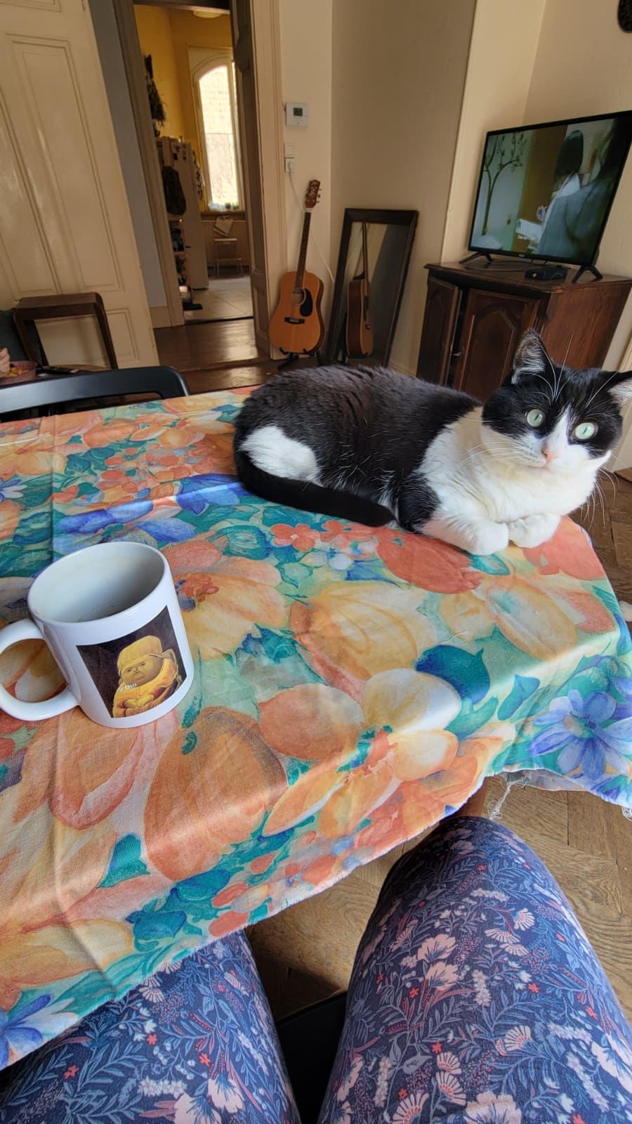 image-6