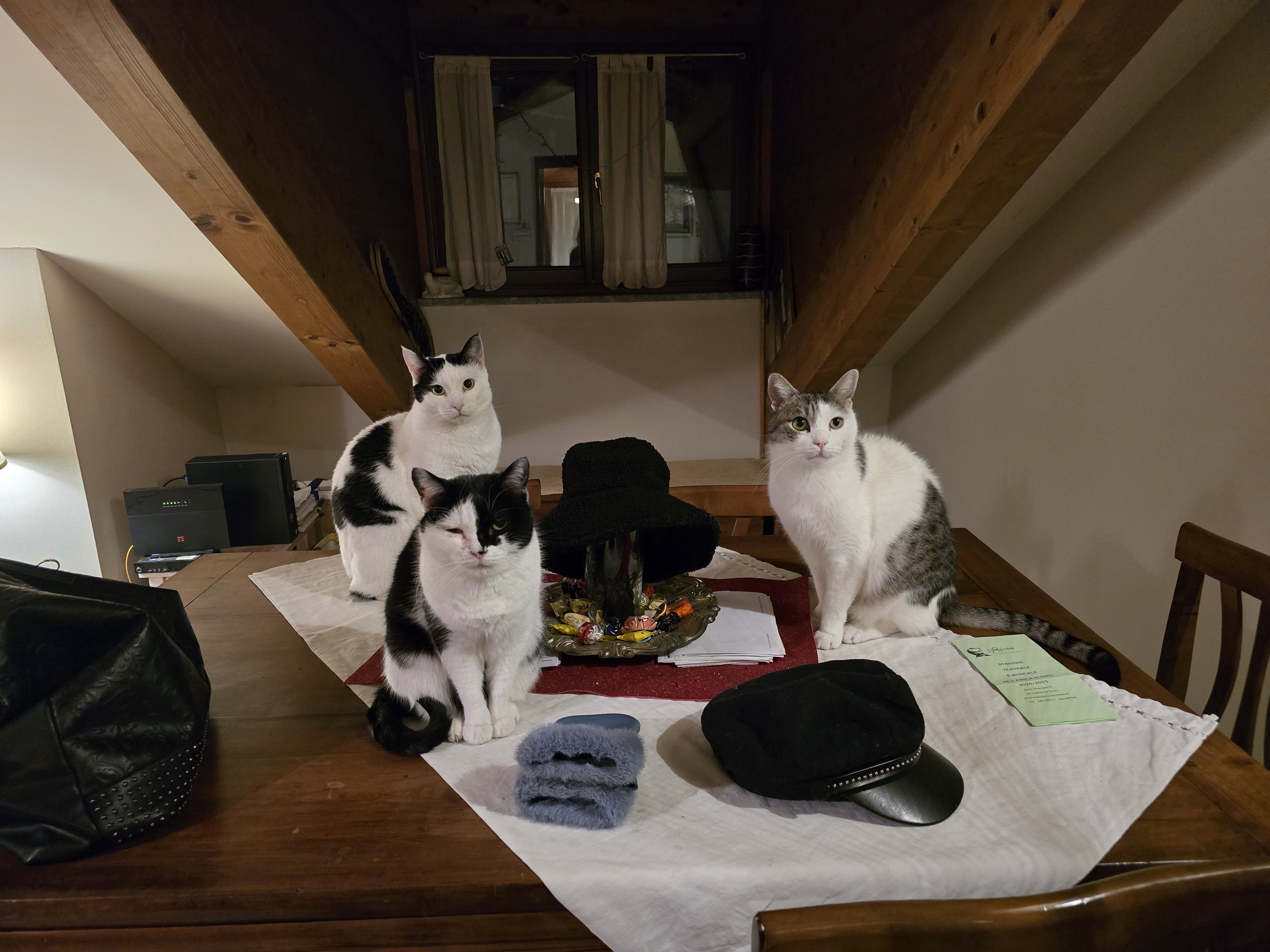 image-6