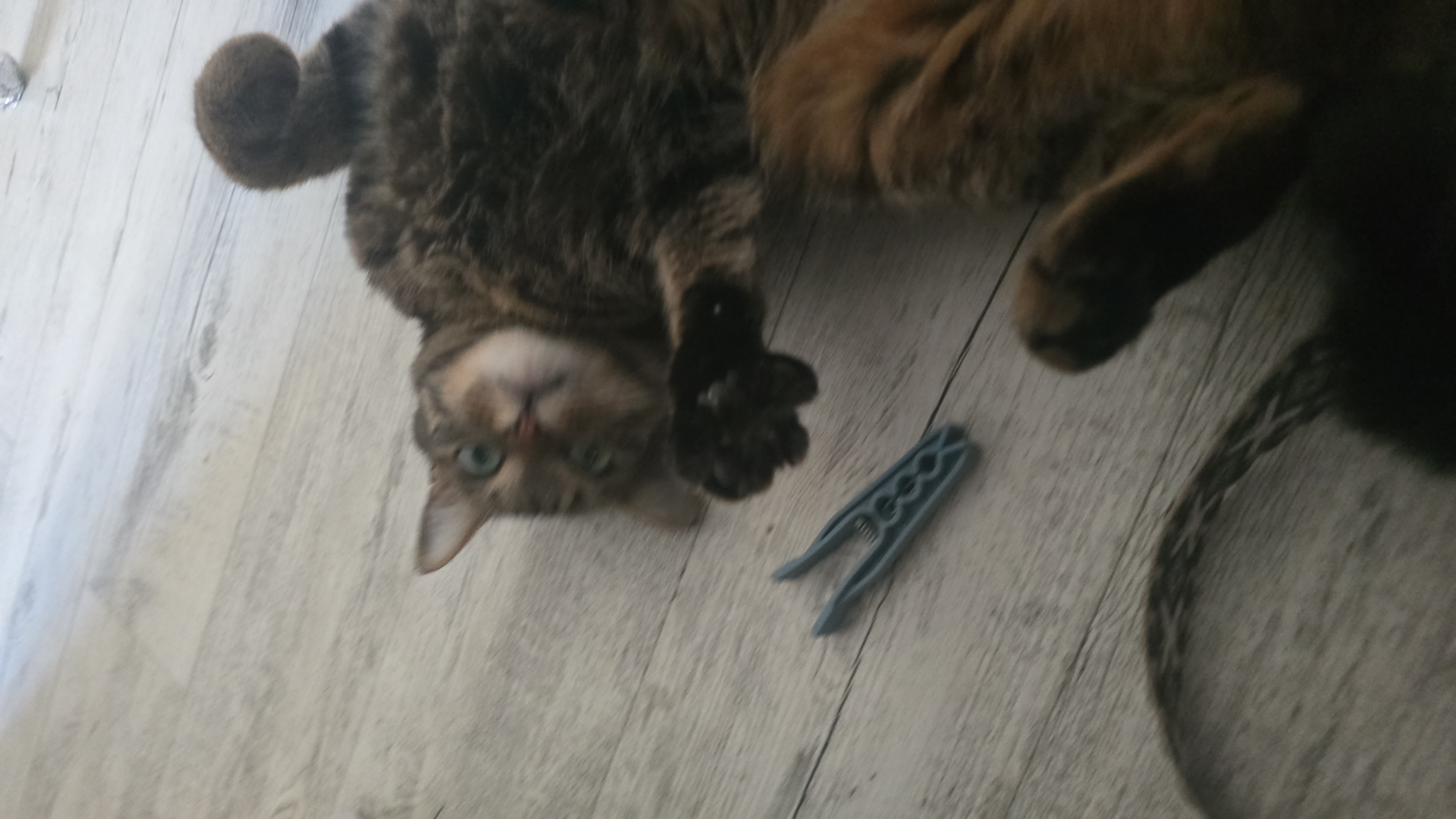 image-5