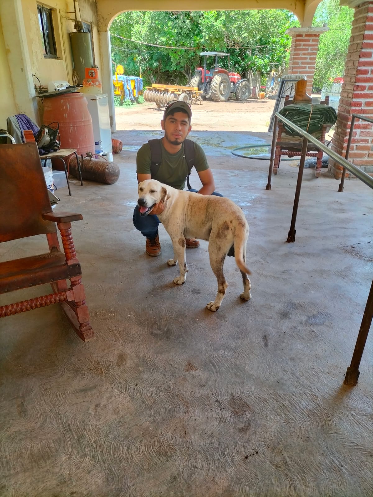 image-6