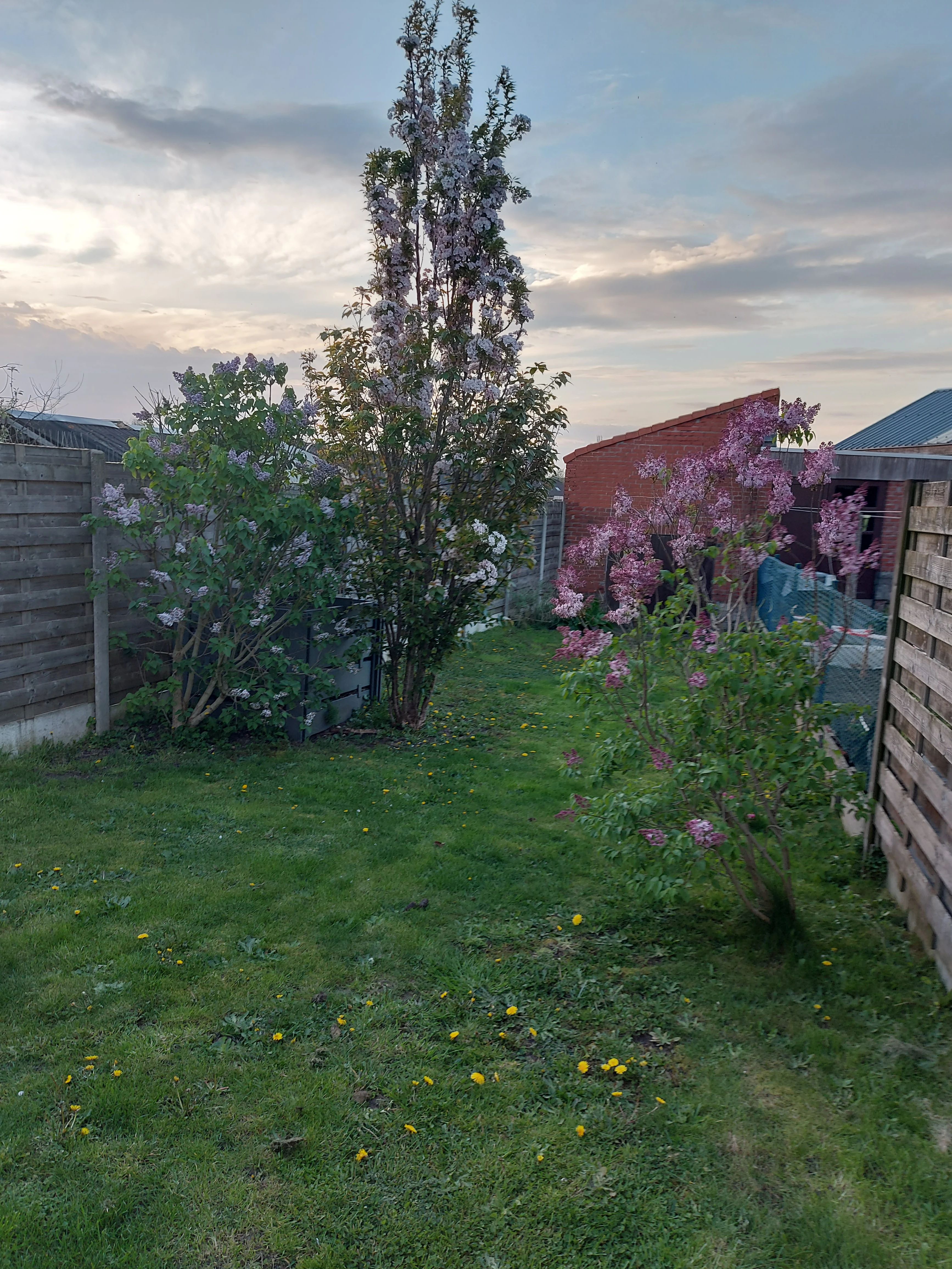 image-16