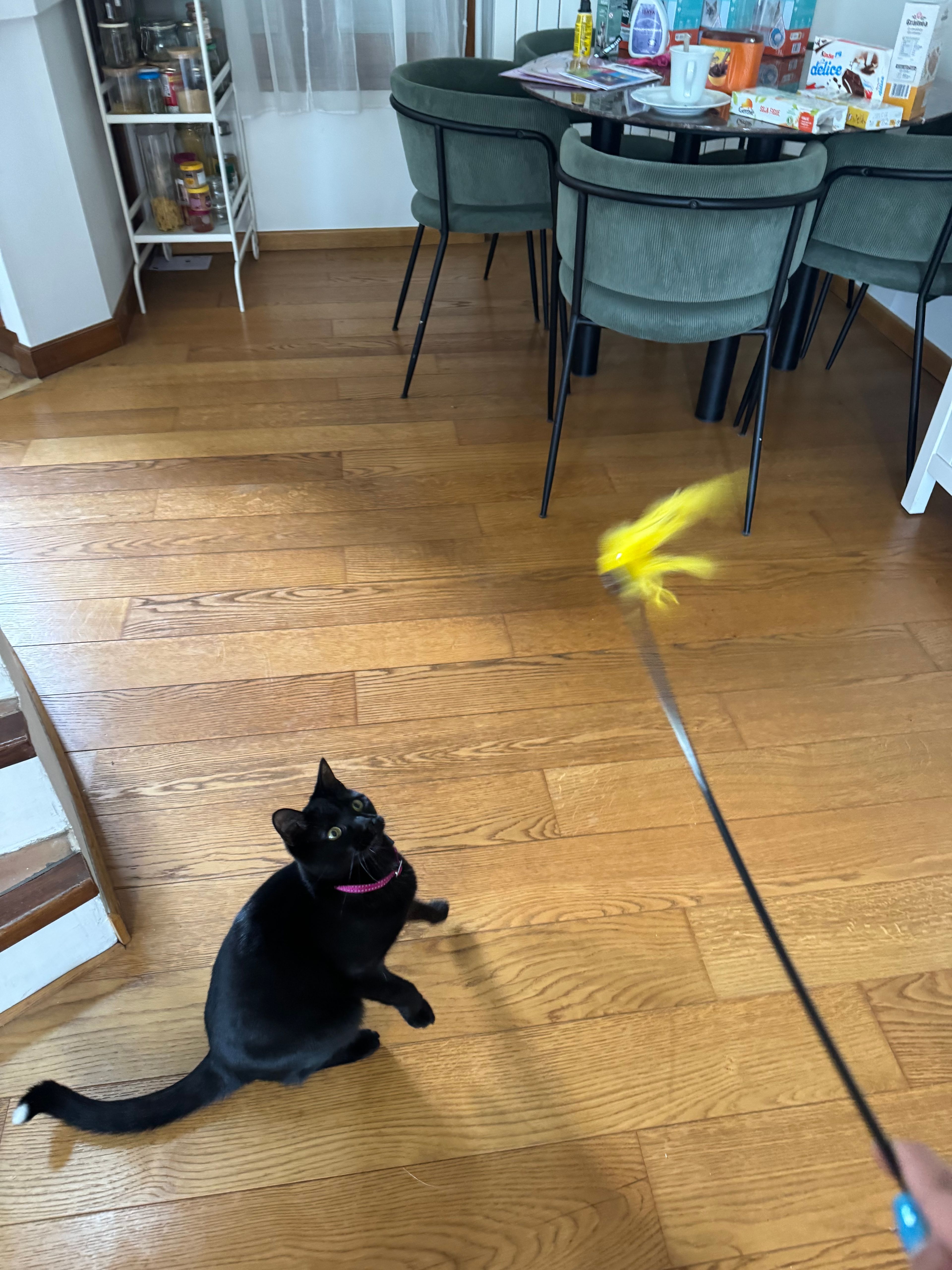 image-18