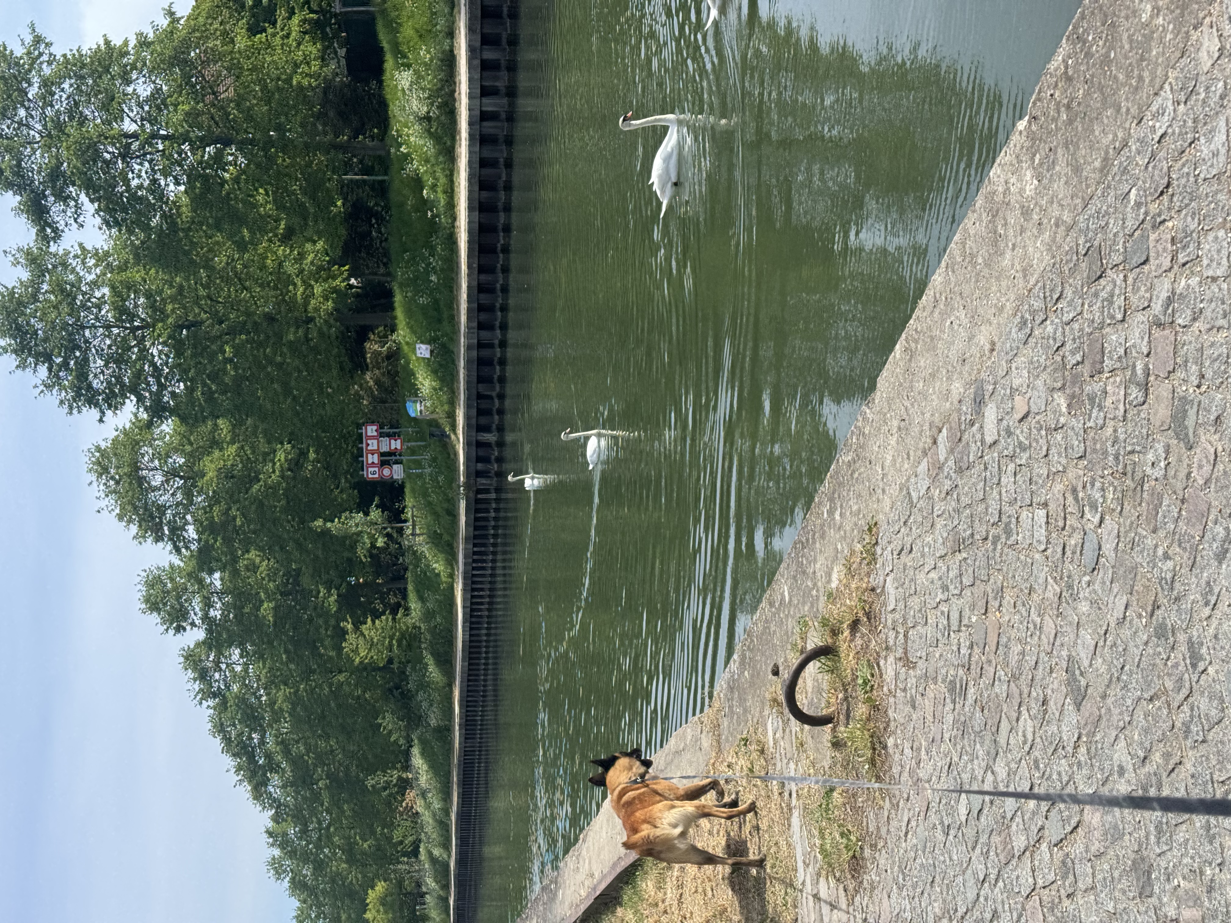 image-15