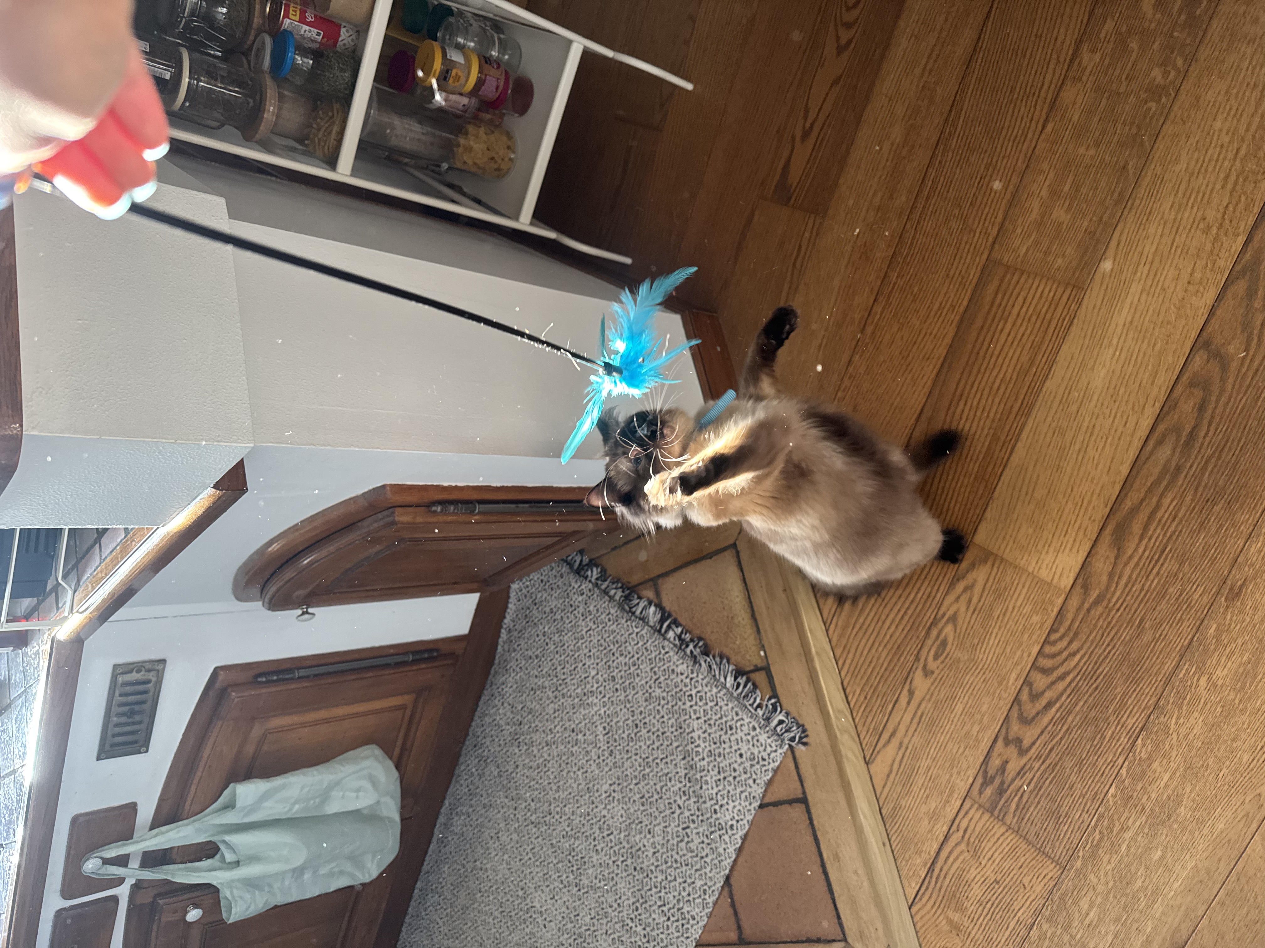 image-17