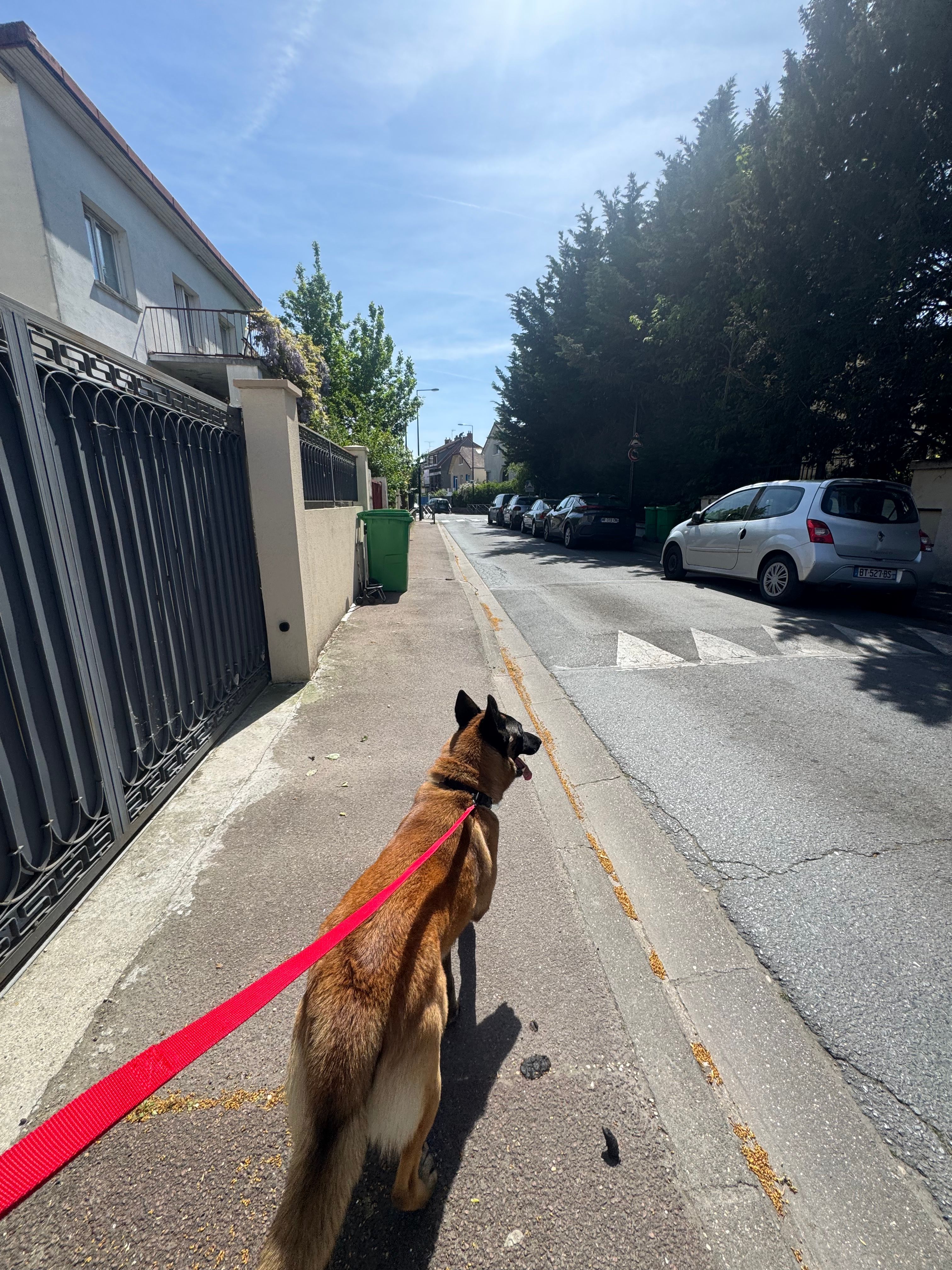 image-27