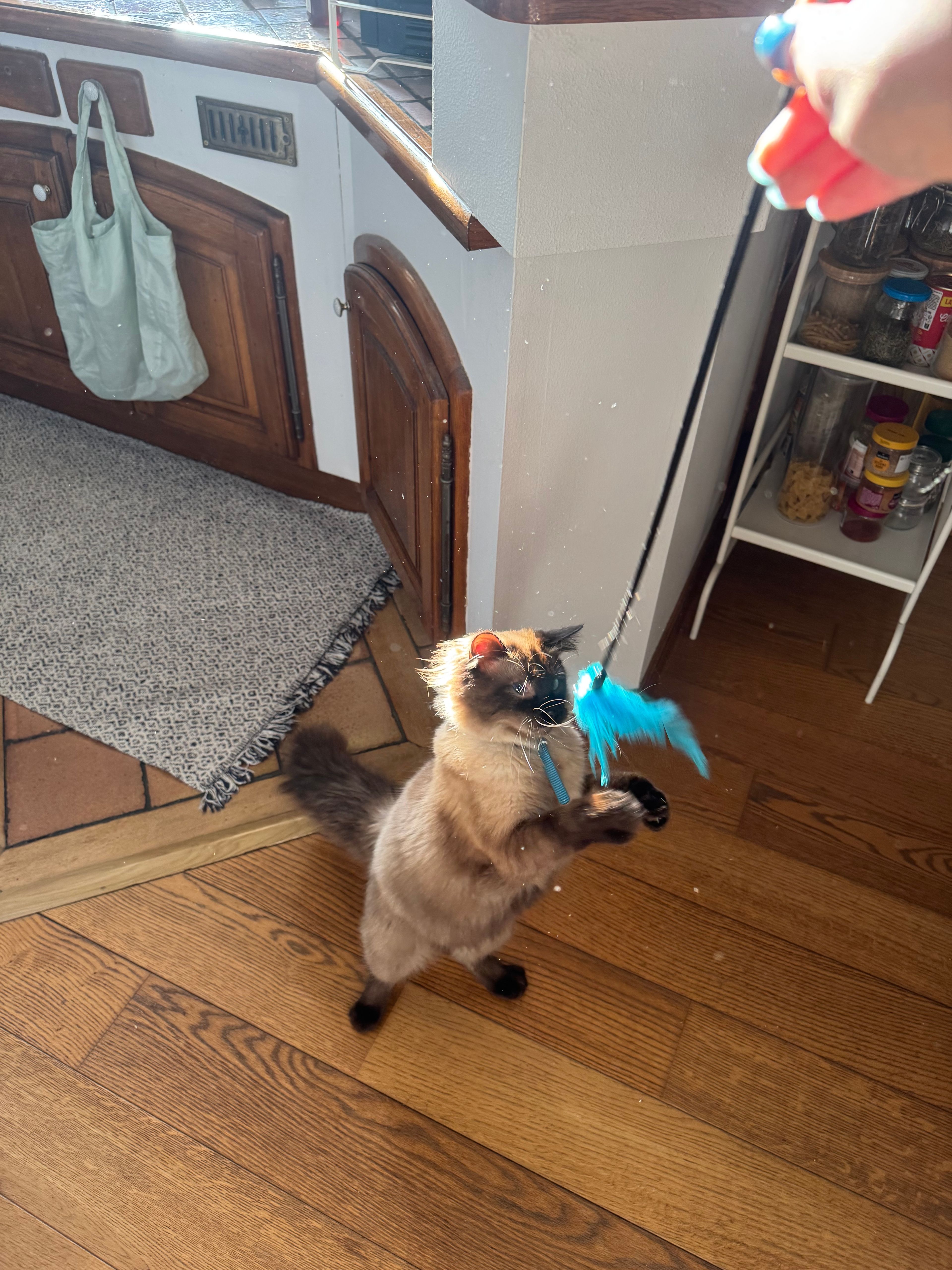 image-14