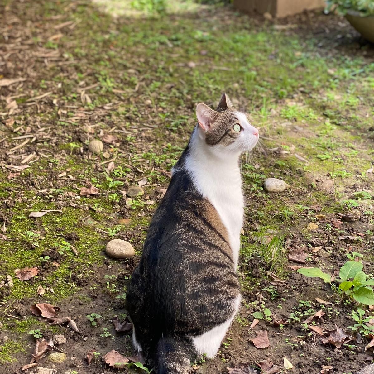 Hunter