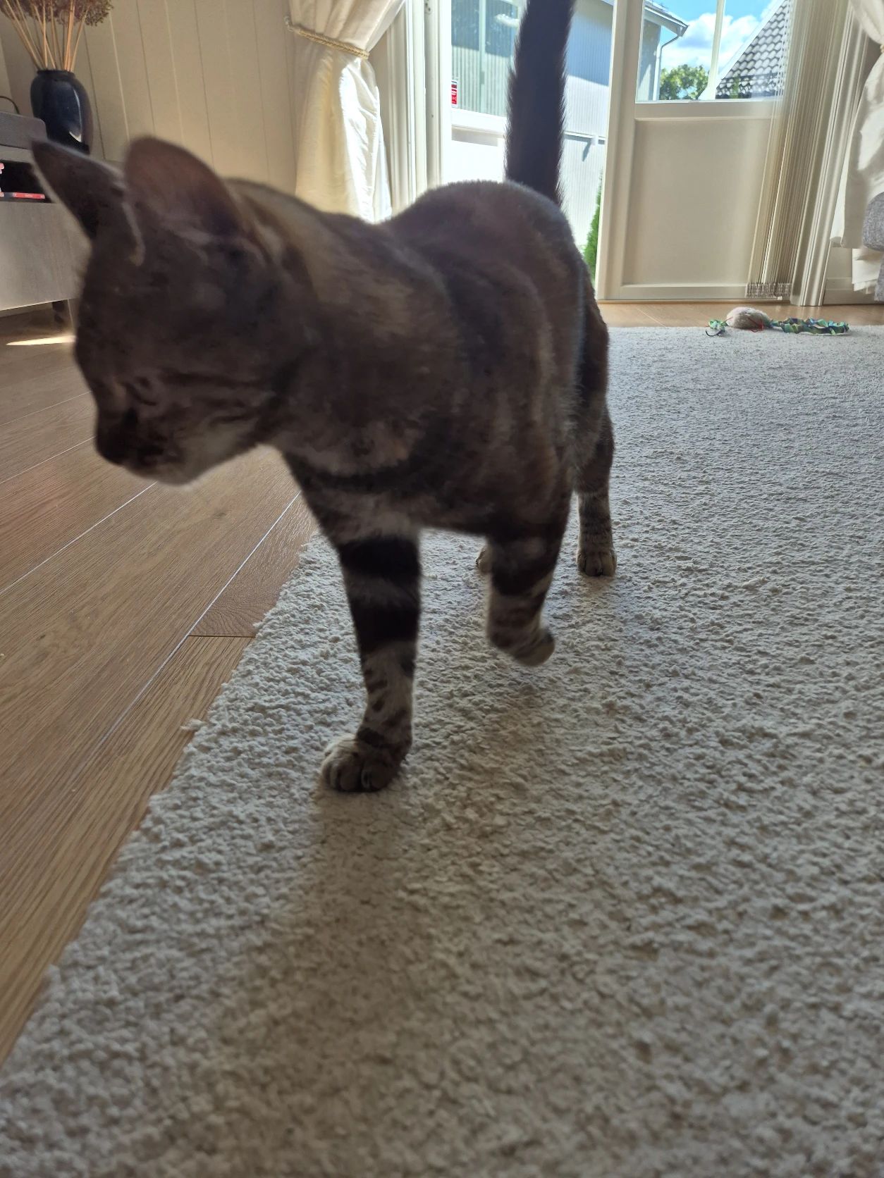 image-7