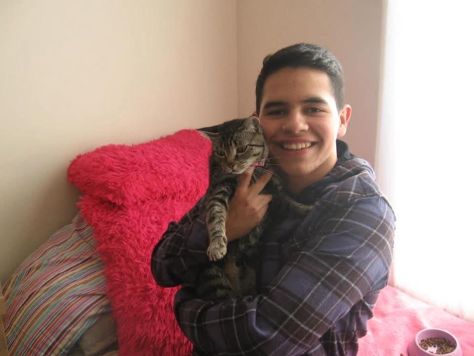 image-8