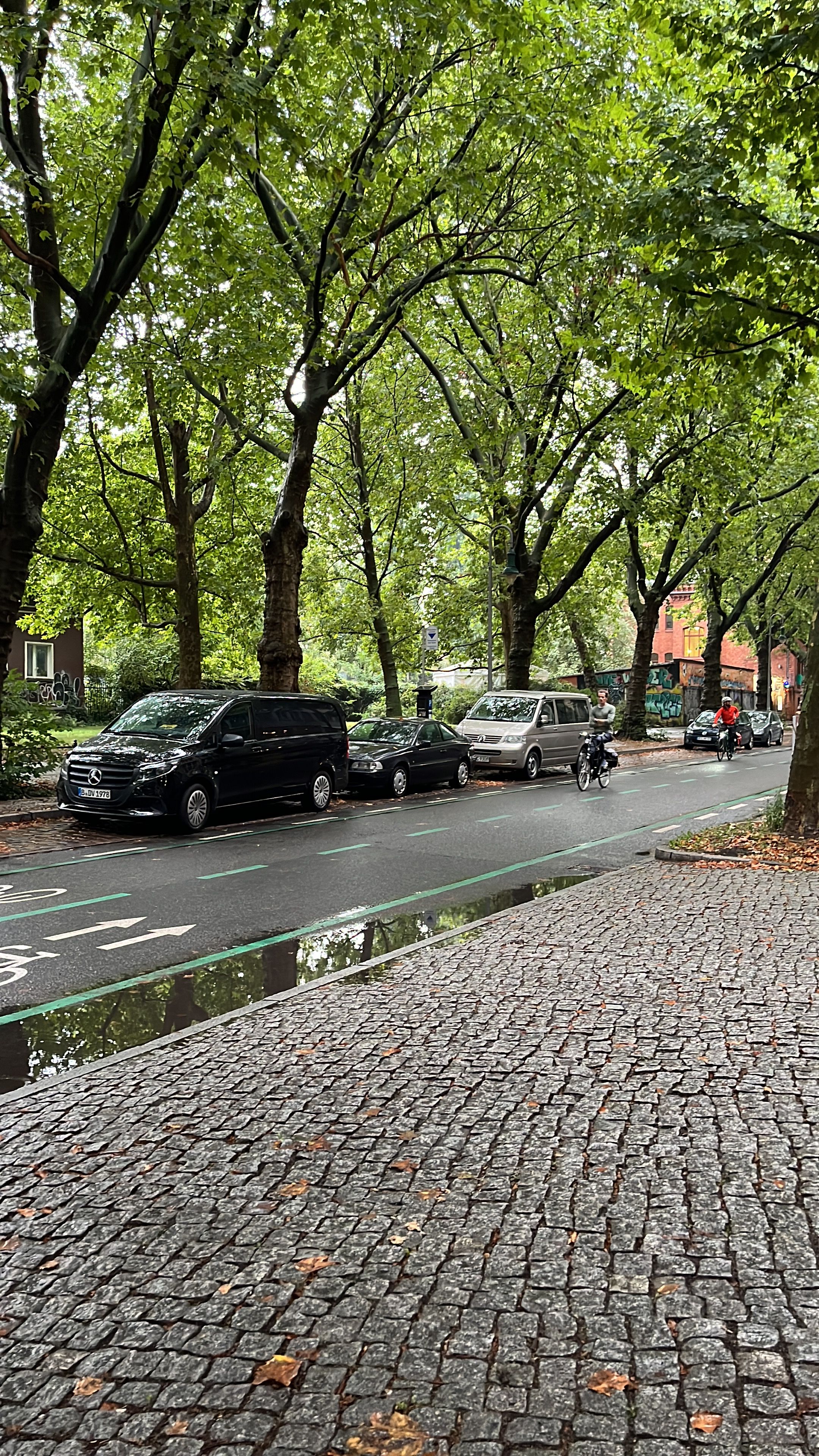 image-18