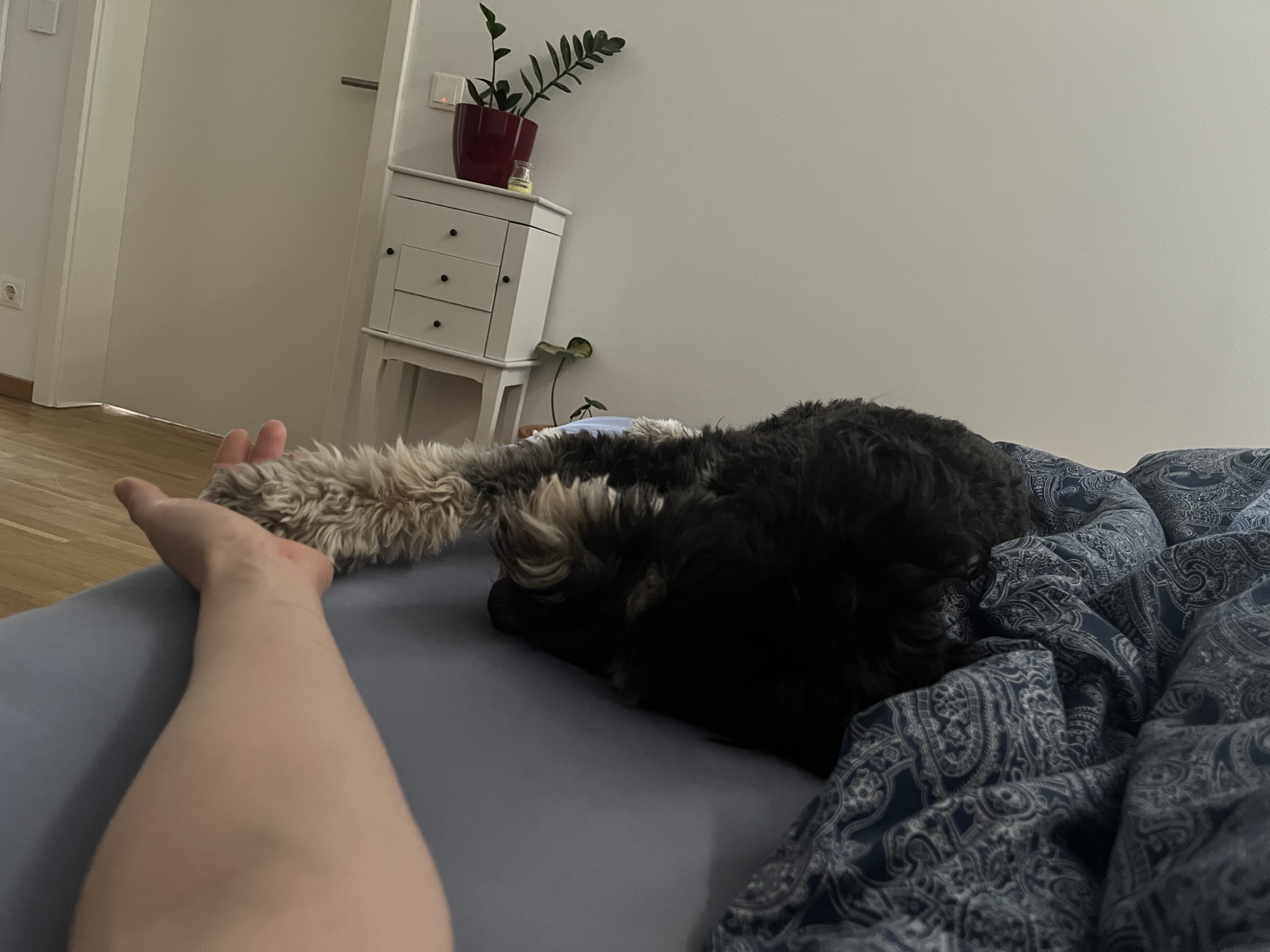 image-11