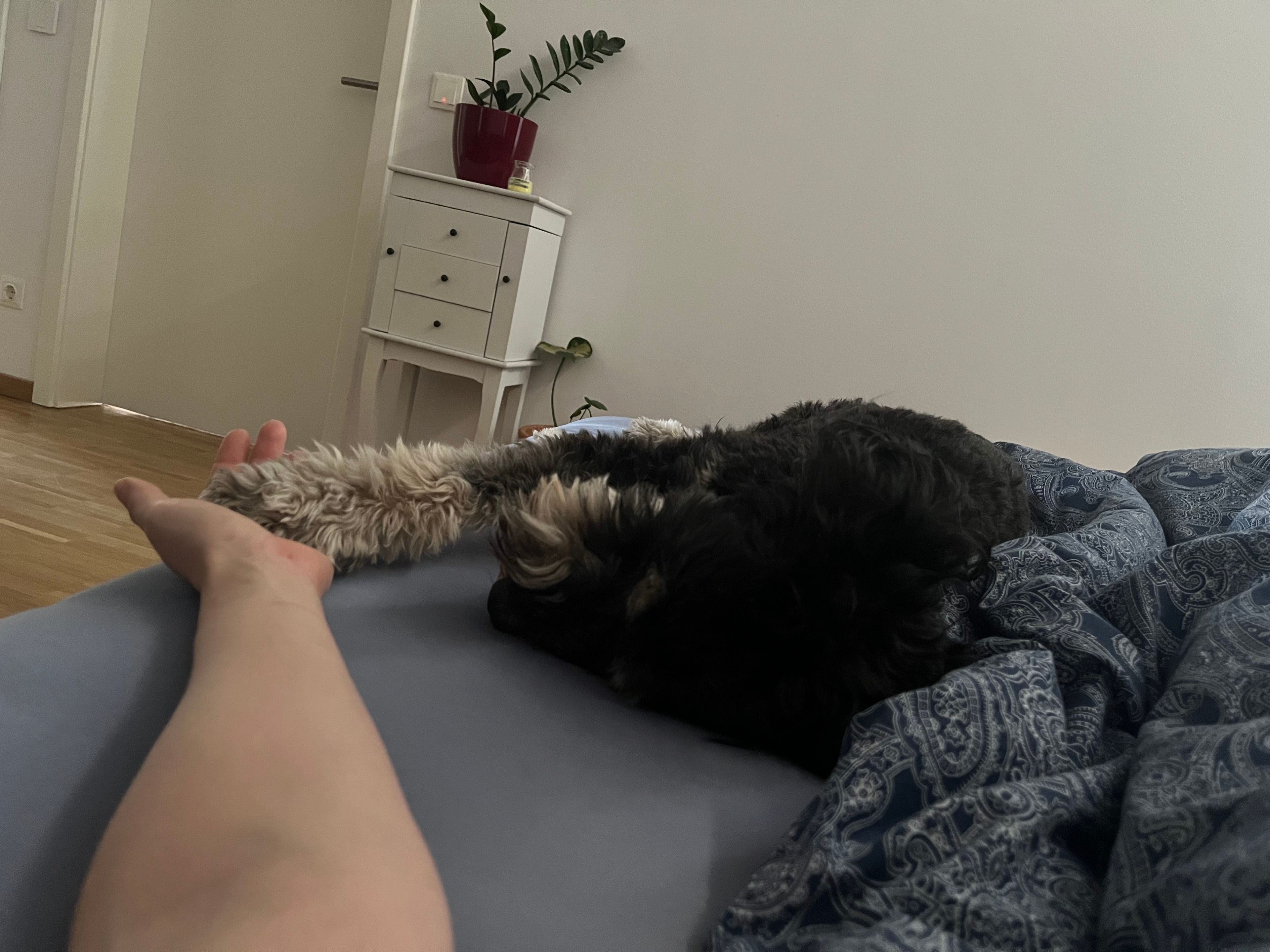 image-11