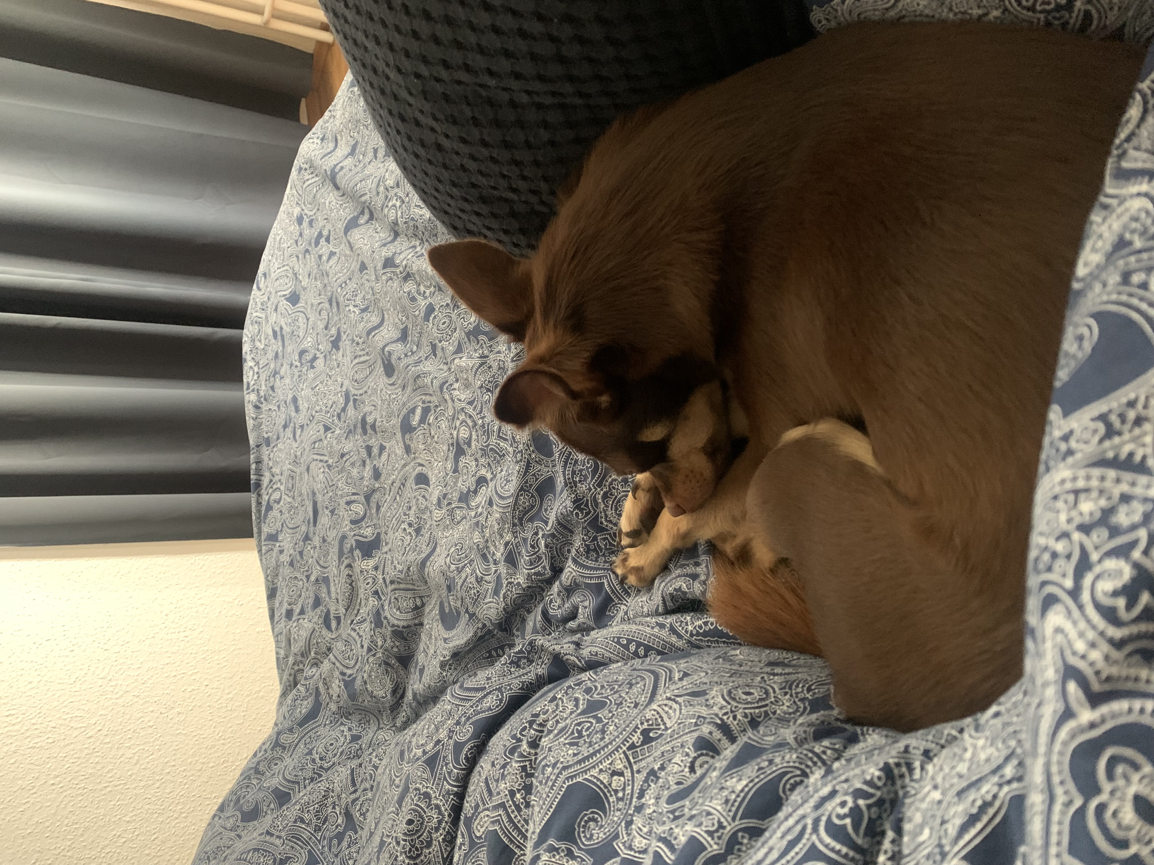 image-6
