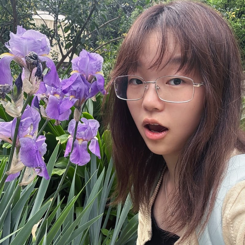 Zhijun