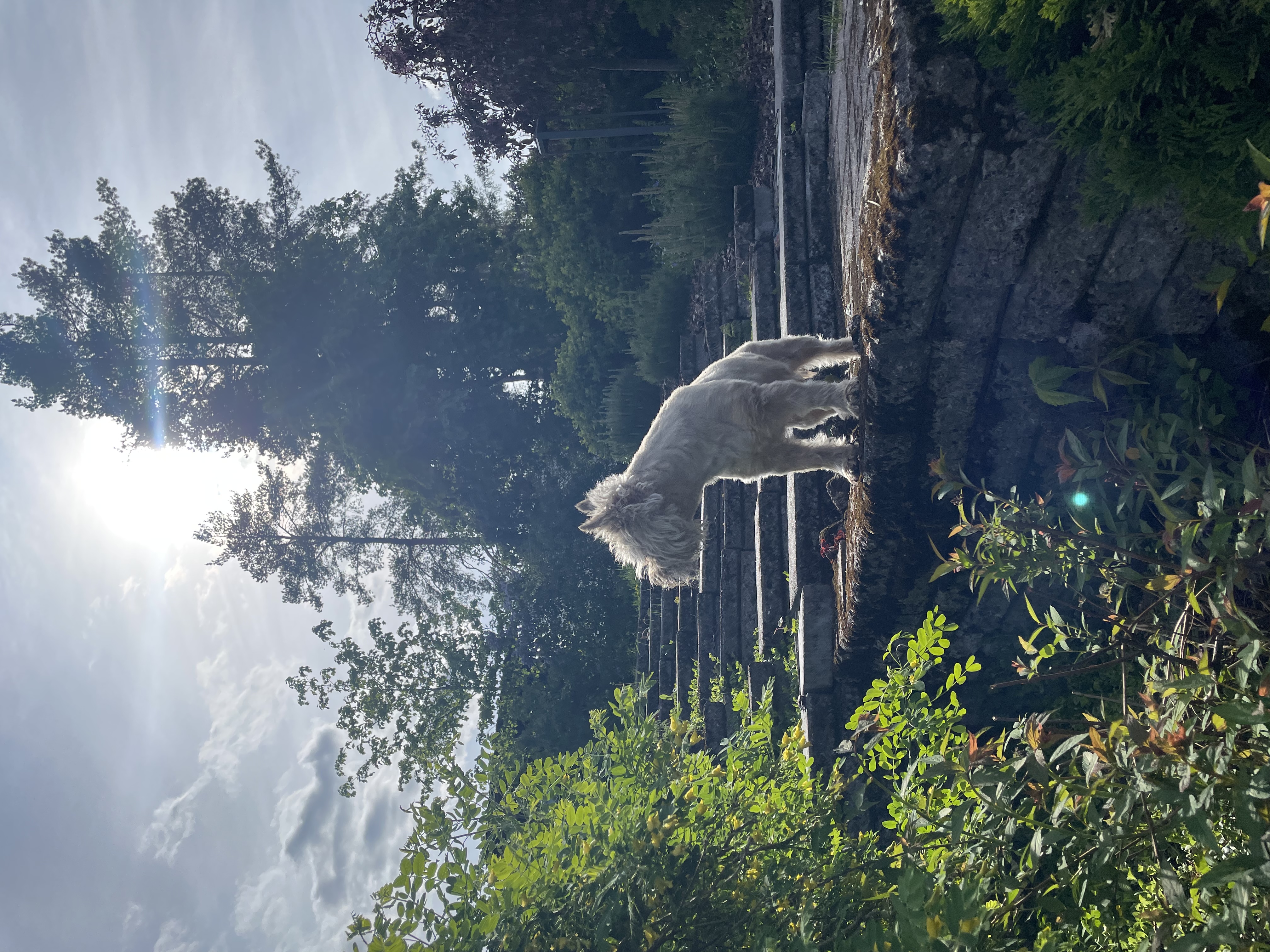 image-15
