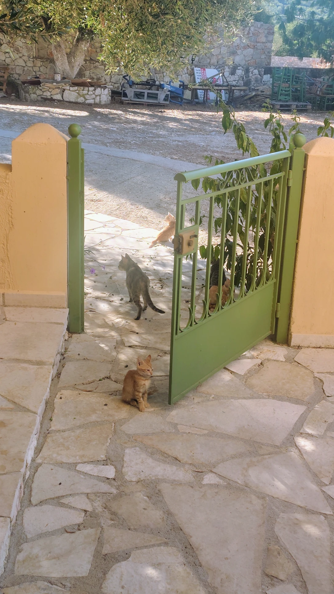 image-5