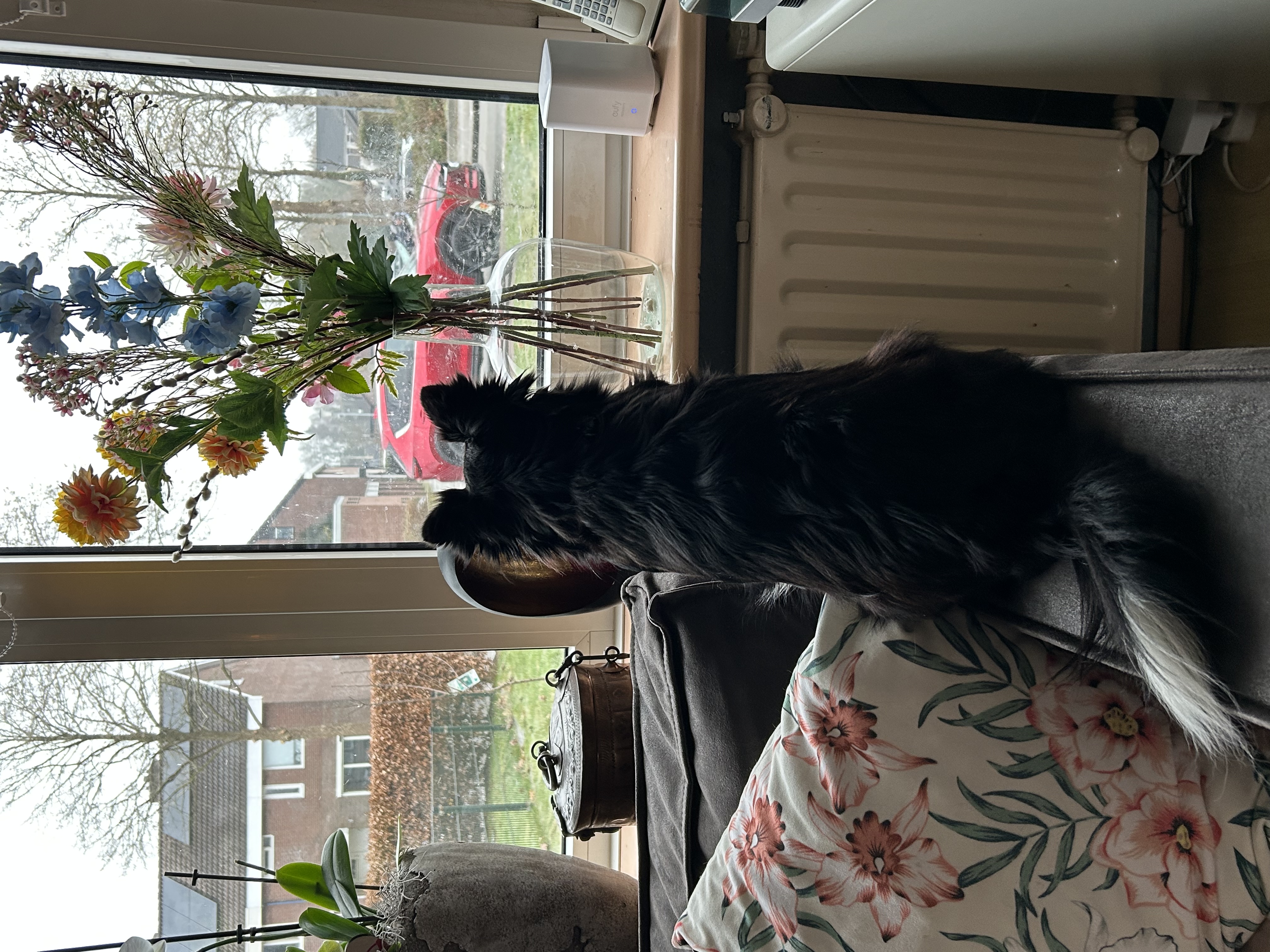 image-14