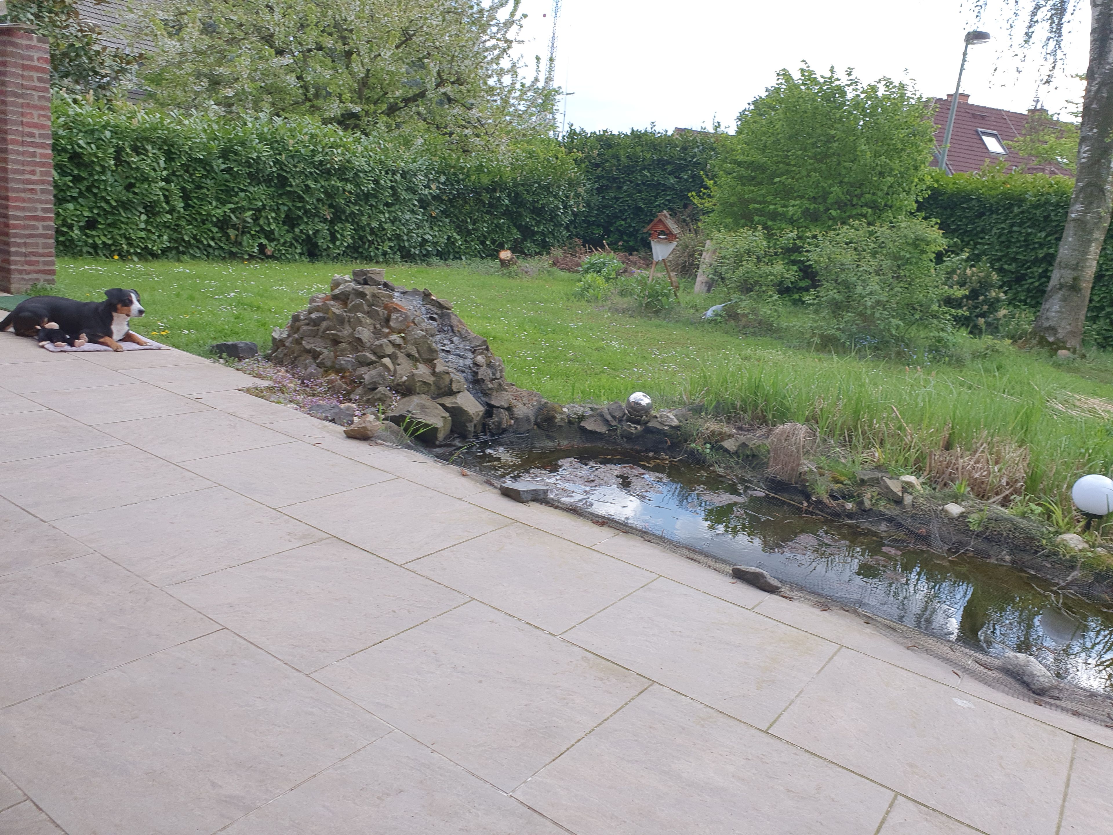 image-20