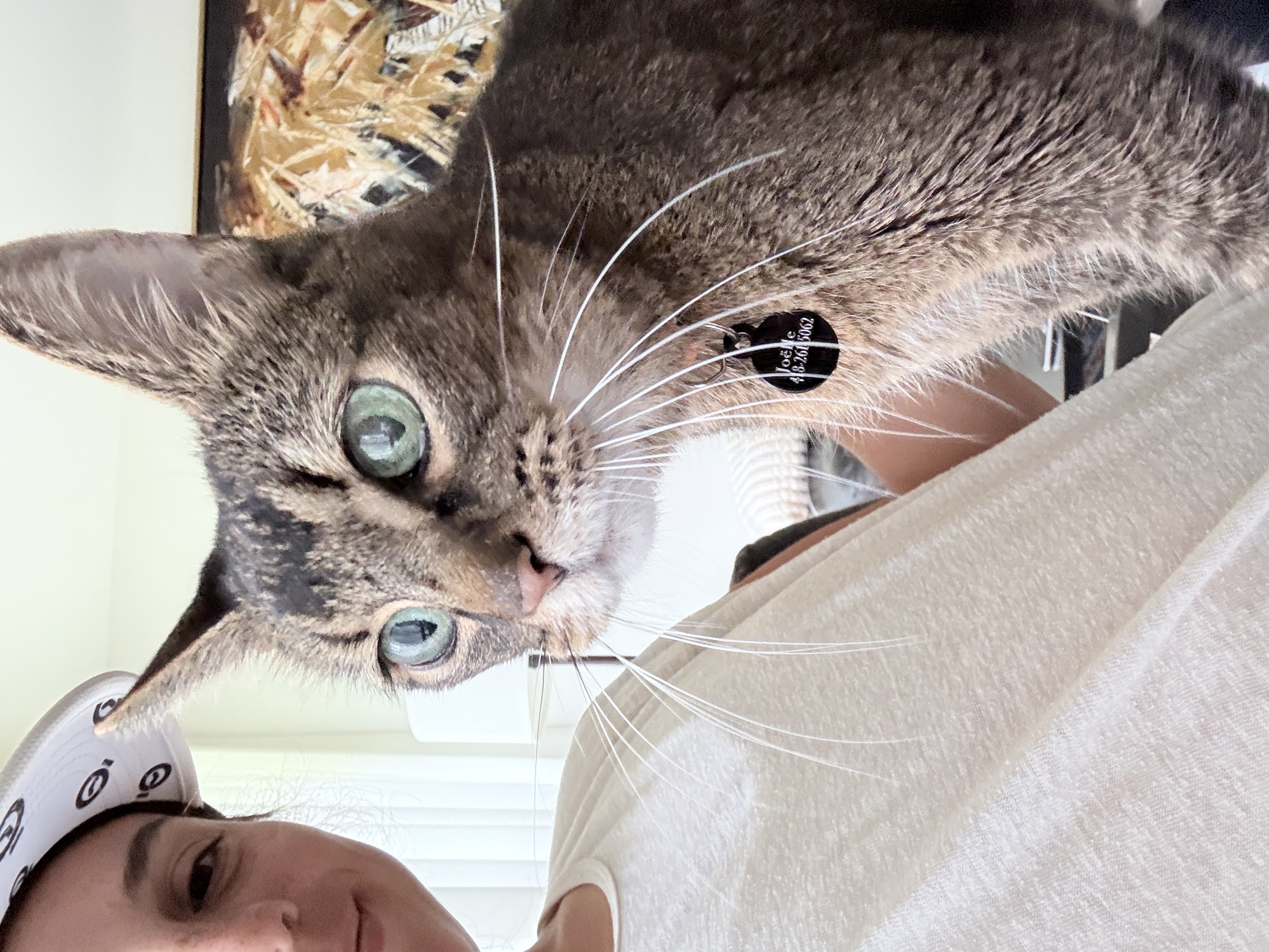 image-13